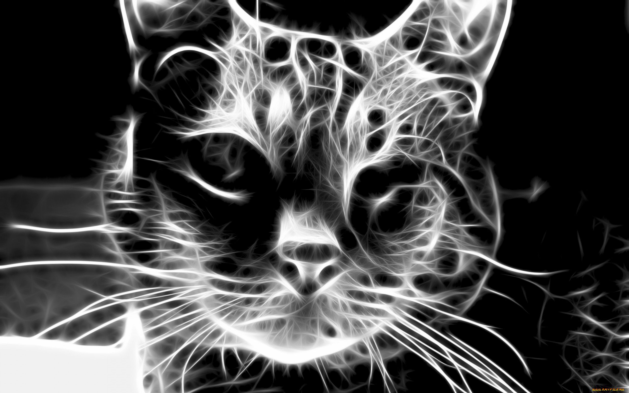 Download mobile wallpaper Cats, Cat, Animal for free.