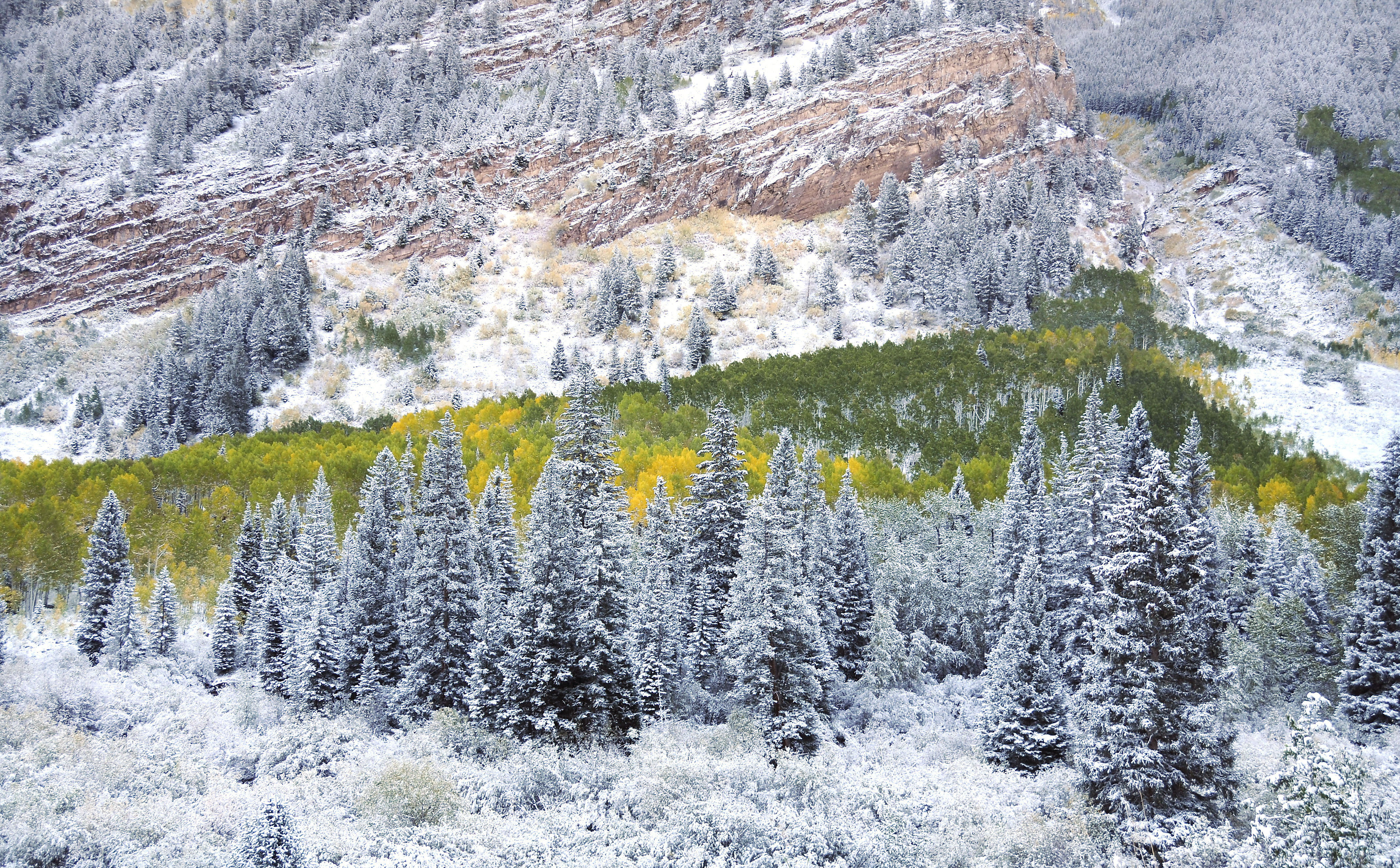 Téléchargez gratuitement l'image Hiver, Terre/nature sur le bureau de votre PC