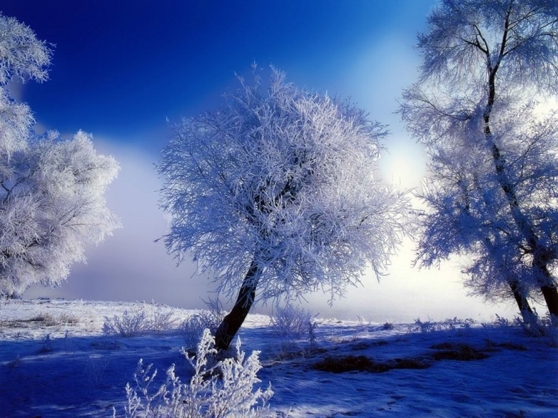 無料モバイル壁紙自然, 雪, 風景をダウンロードします。
