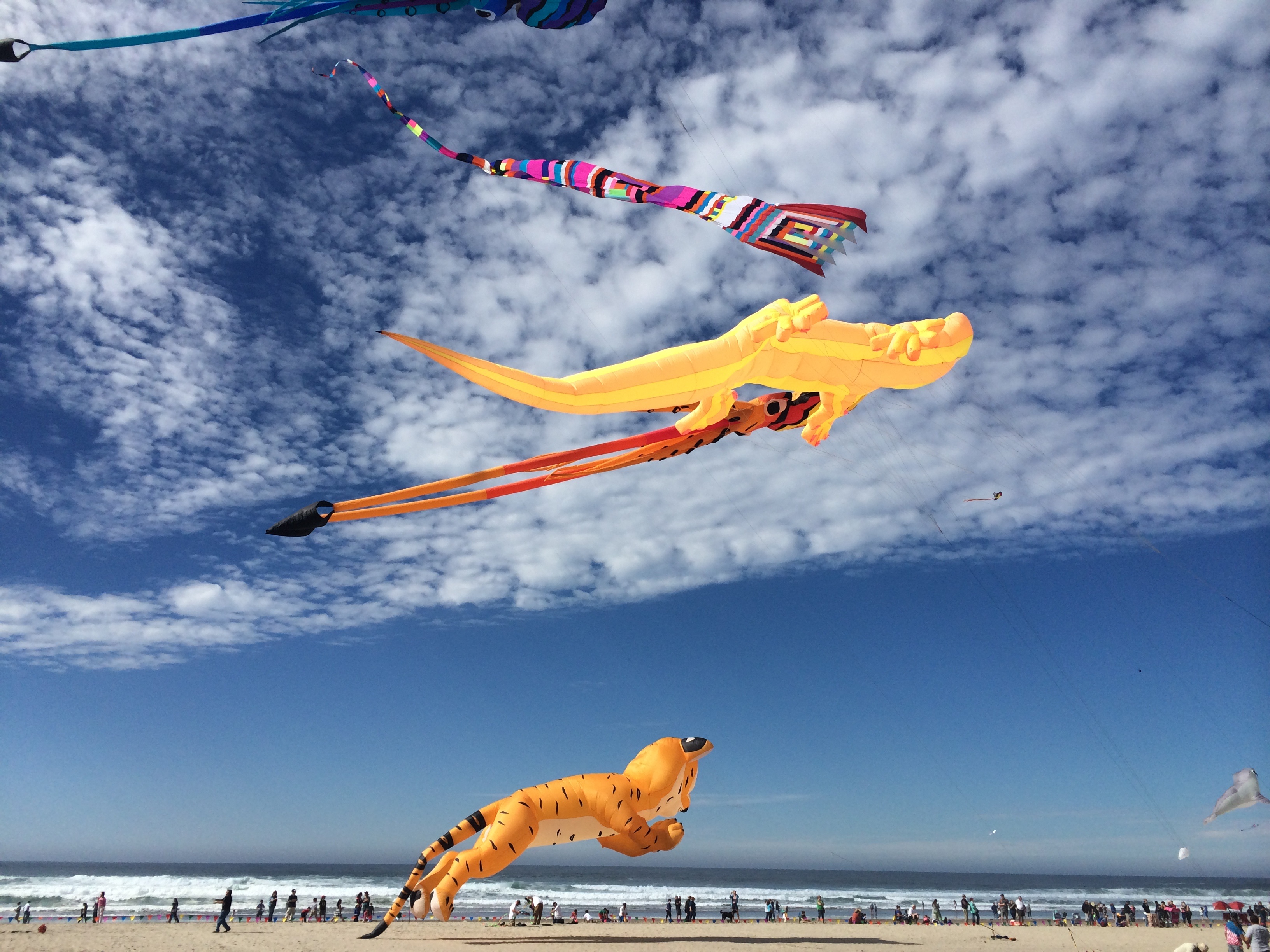 man made, kite, cloud, colors, flying, people, sky