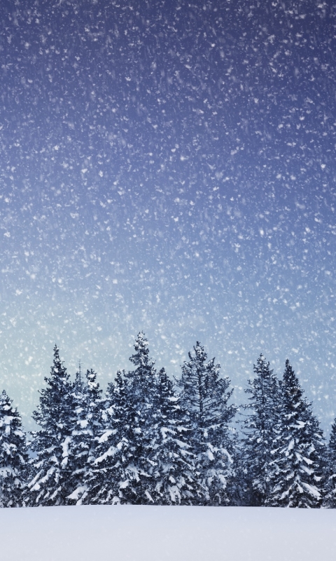 無料モバイル壁紙冬, 自然, 木, 雪, 地球, 降雪をダウンロードします。