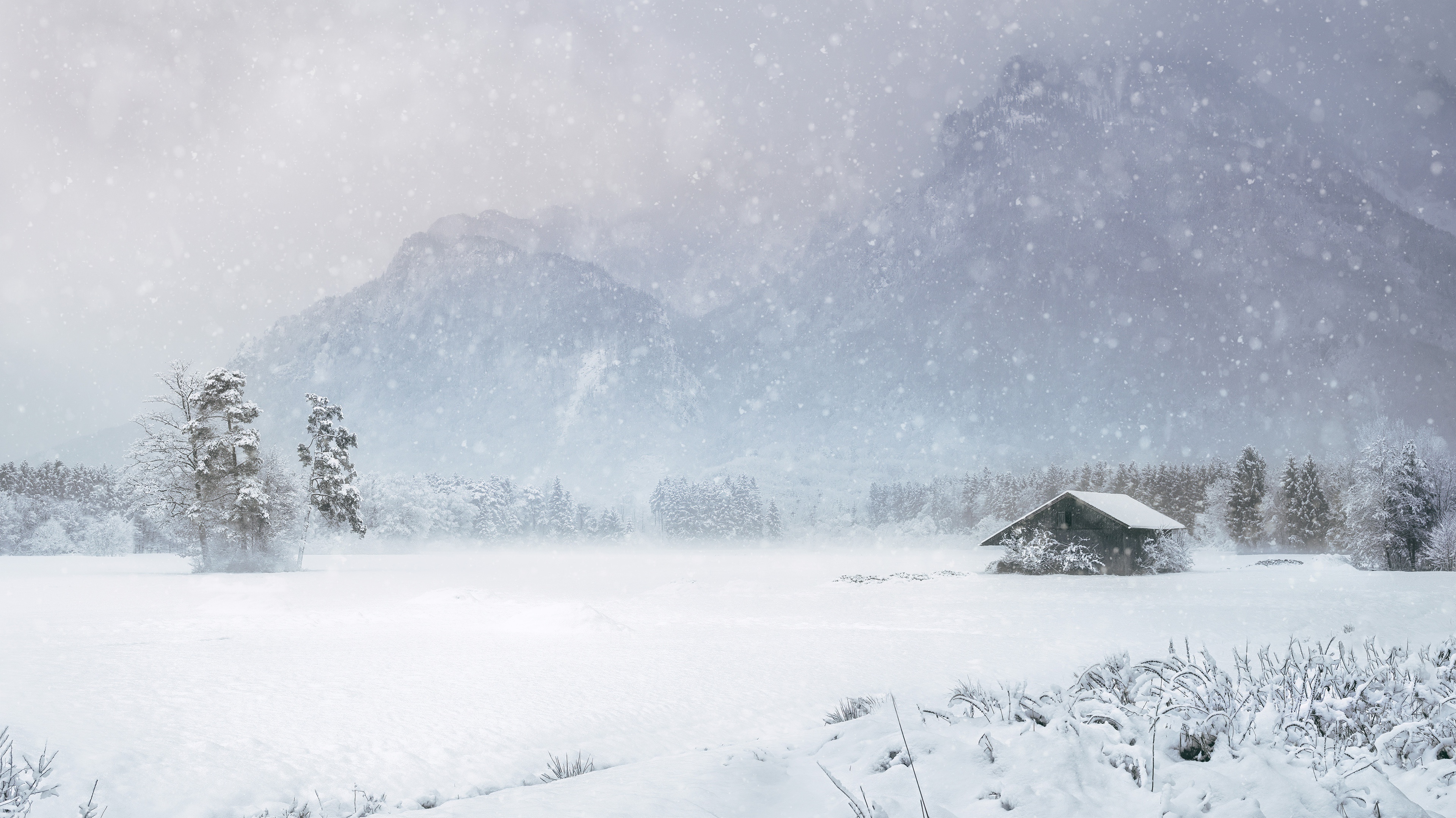PCデスクトップに冬, 雪, 山, 小屋, 降雪, 写真撮影, 松の木画像を無料でダウンロード