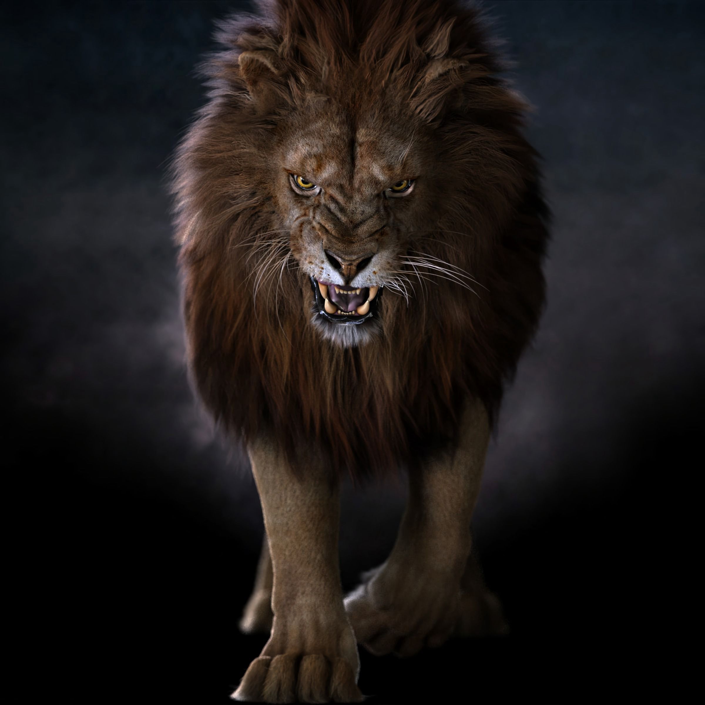 78611 скачать обои лев, хищник, большая кошка, клыки, животные, взгляд - заставки и картинки бесплатно