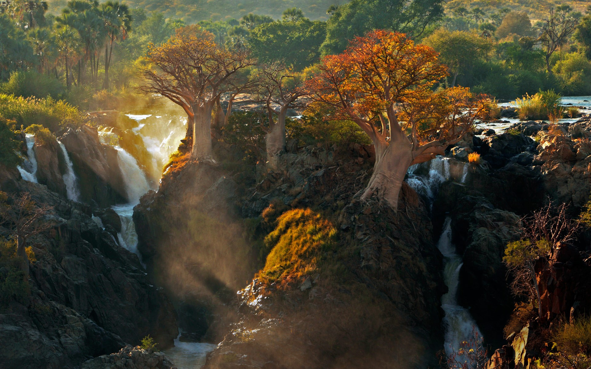 395505壁紙のダウンロード地球, 滝, アフリカ, 秋, 森, ナミビア, 木-スクリーンセーバーと写真を無料で