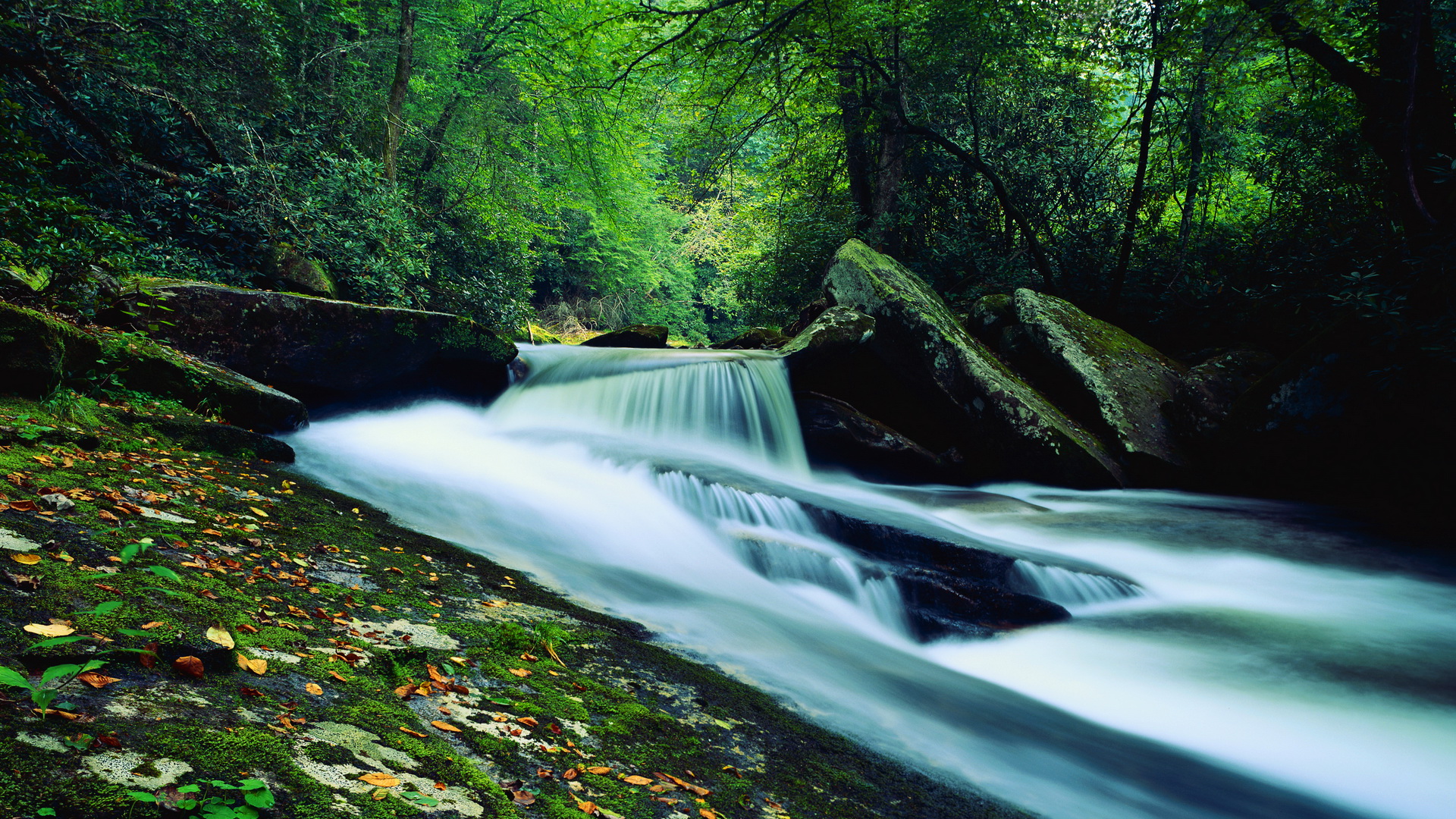 Handy-Wallpaper Fluss, Erde/natur kostenlos herunterladen.