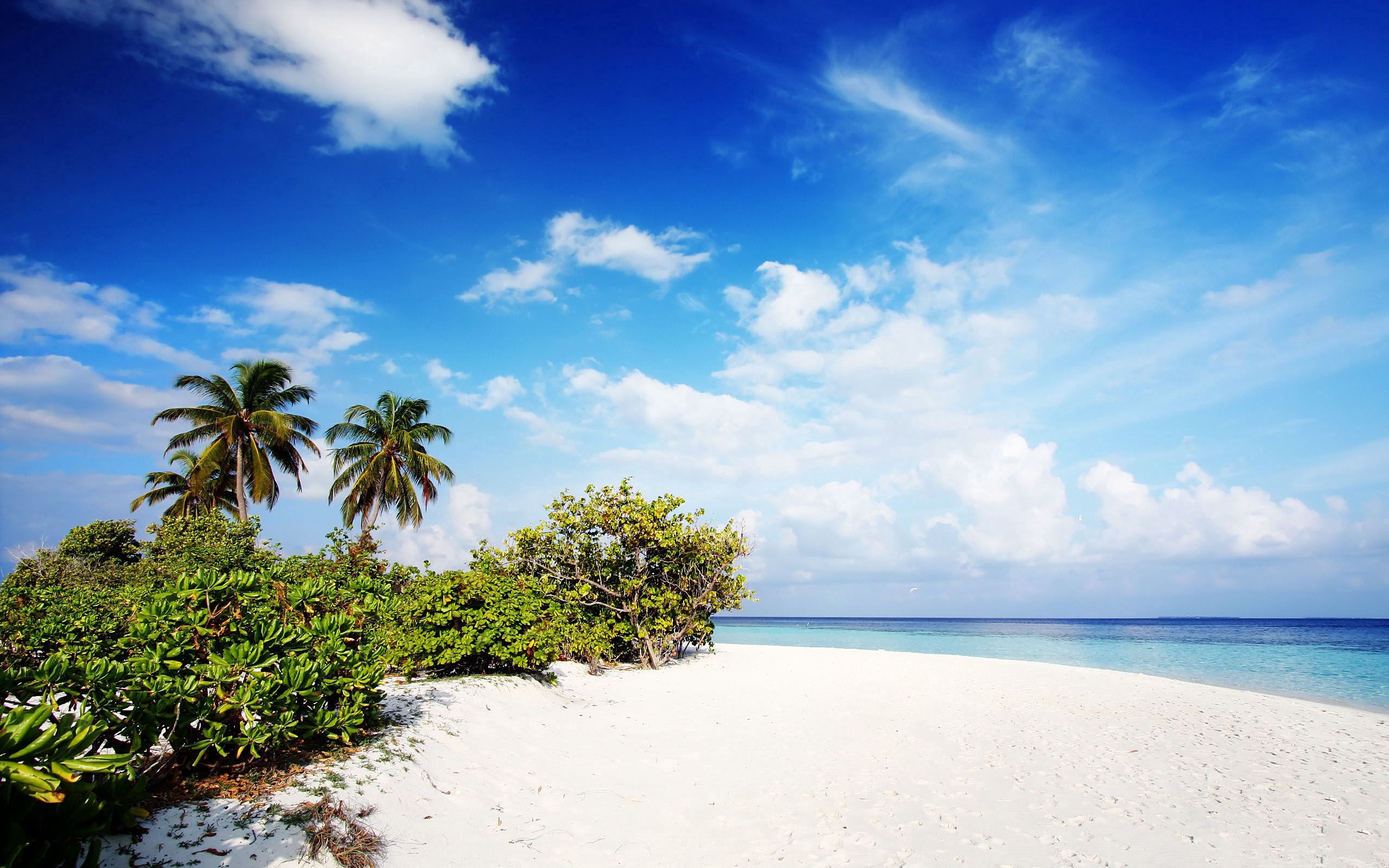 Скачать обои бесплатно Песок, Природа, Пальмы, Мальдивы, Пляж картинка на рабочий стол ПК