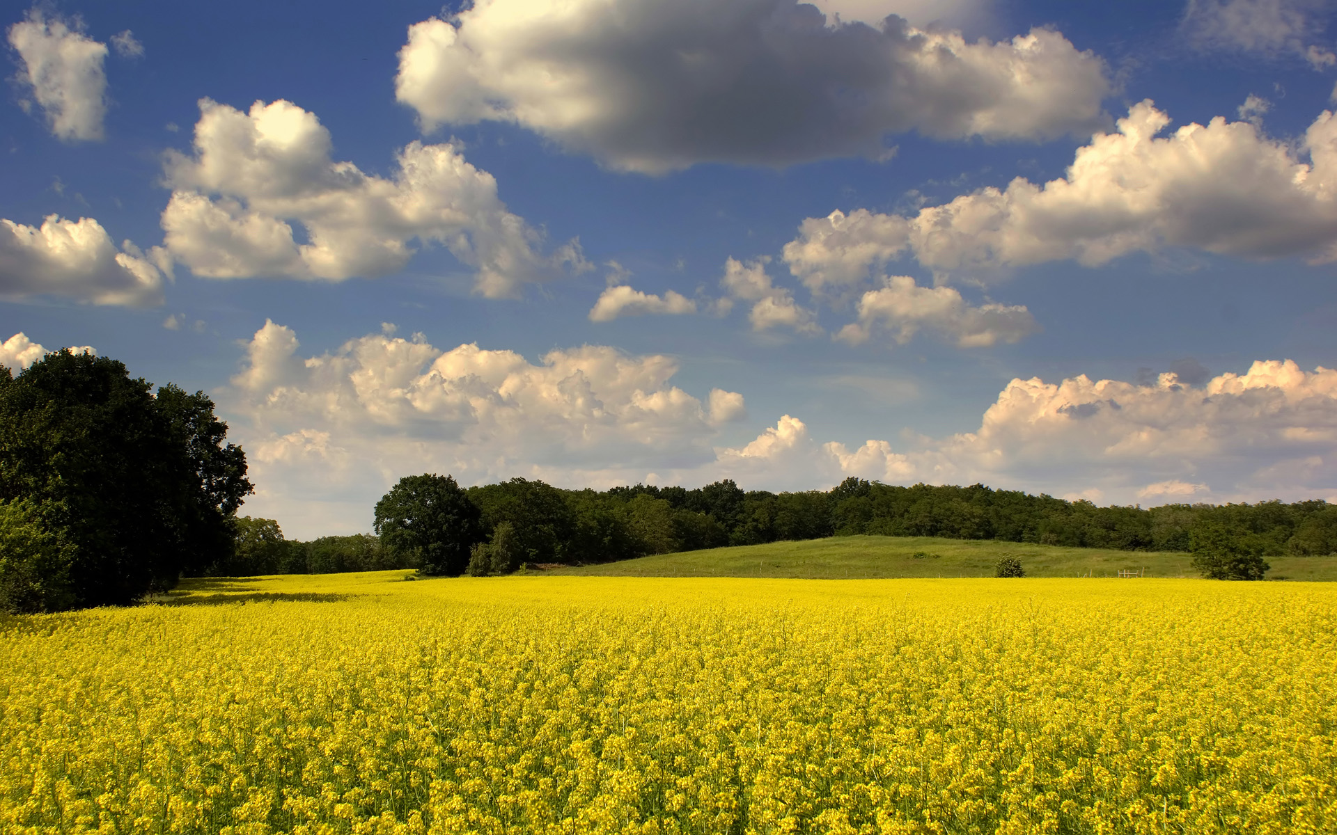 Descarga gratuita de fondo de pantalla para móvil de Paisaje, Tierra/naturaleza.