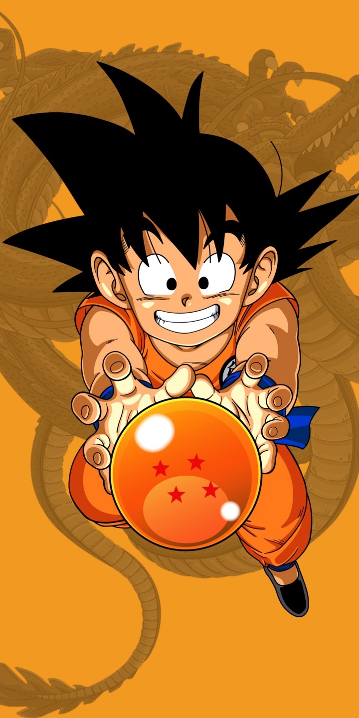 Baixar papel de parede para celular de Anime, Dragon Ball Z, Esfera Do Dragão, Goku, Dragon Ball gratuito.