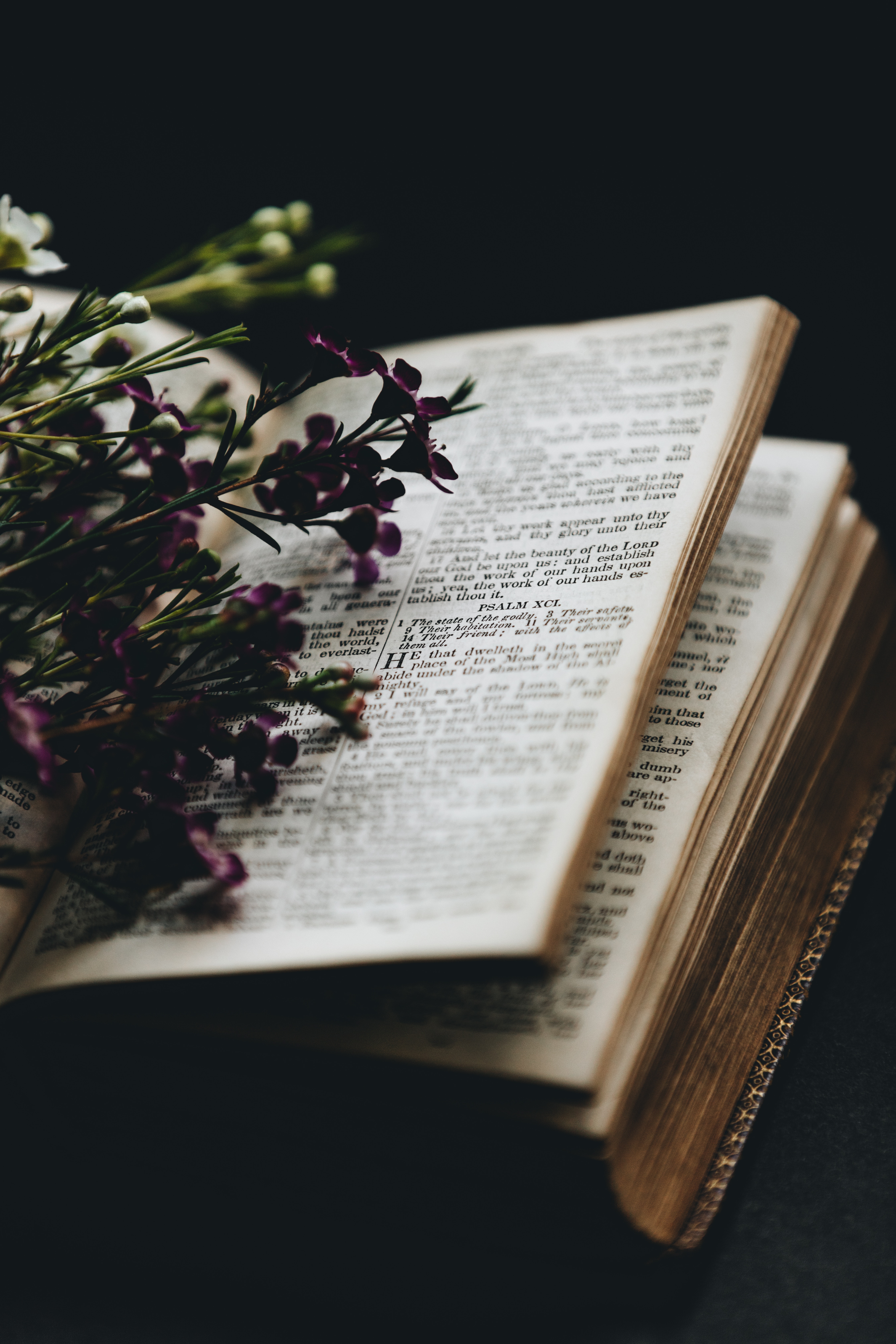 reading, comfort, smooth, miscellaneous, flowers, miscellanea, blur, book, coziness Aesthetic wallpaper