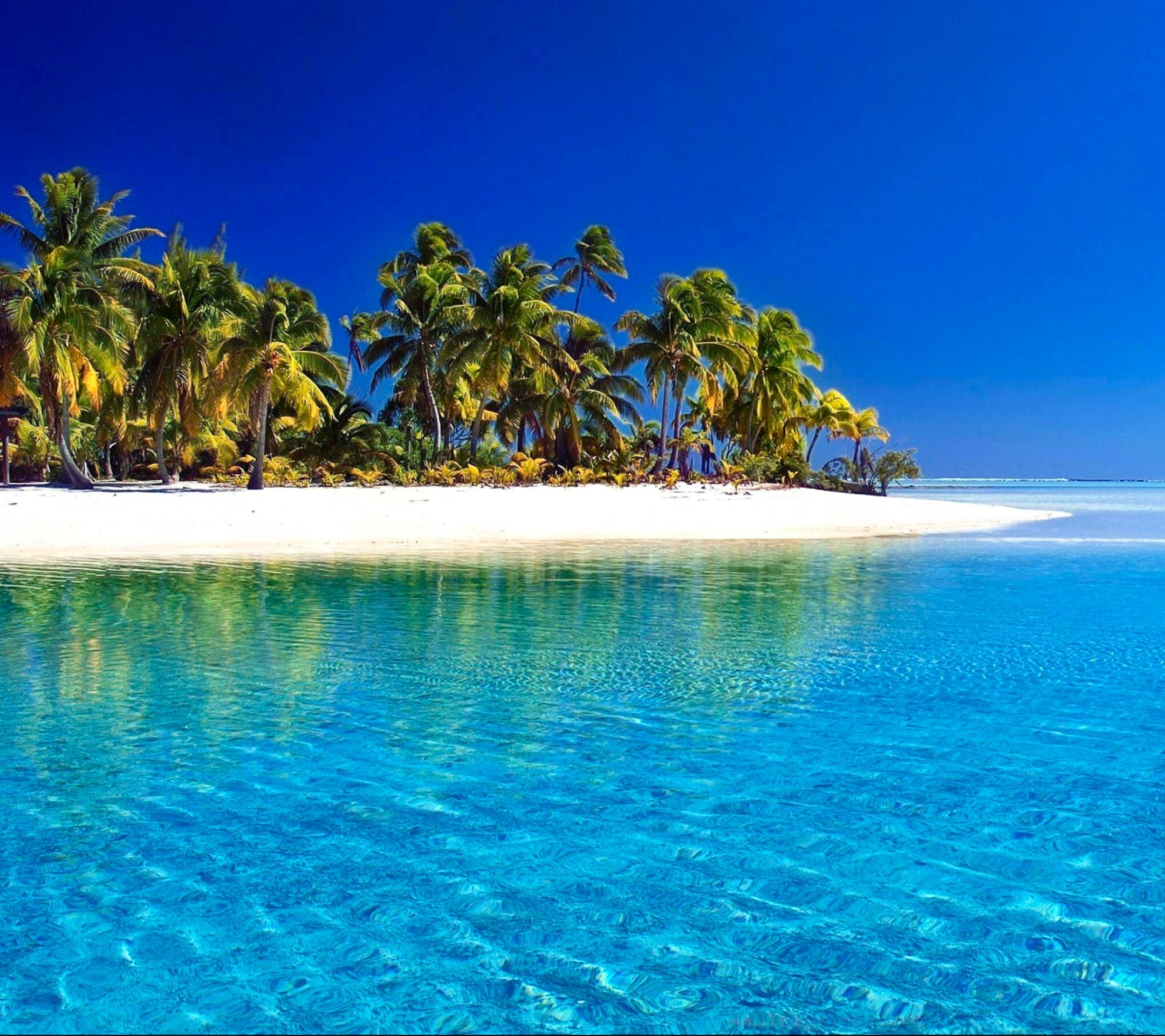 無料モバイル壁紙海, ビーチ, 夏, 地平線, 青い, 地球, トロピカル, 小島, ヤシの木をダウンロードします。