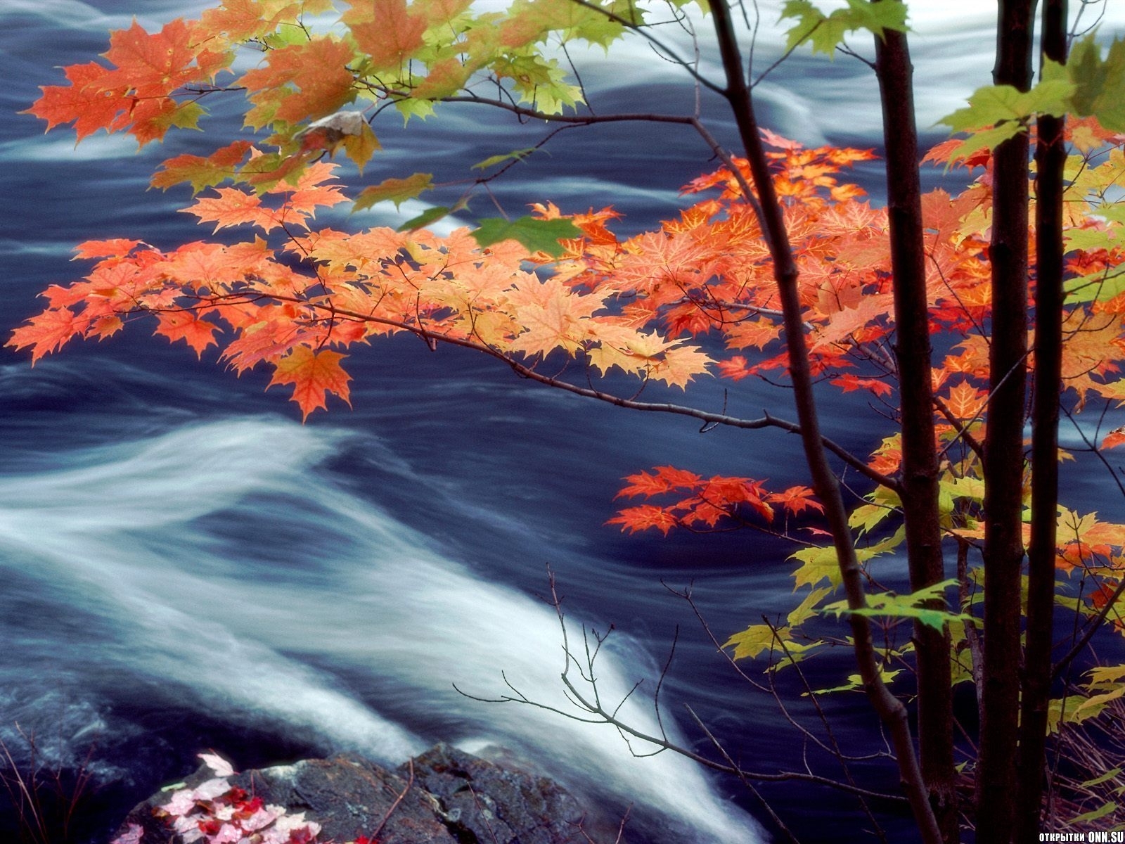 Скачать обои бесплатно Вода, Листья, Пейзаж, Осень картинка на рабочий стол ПК