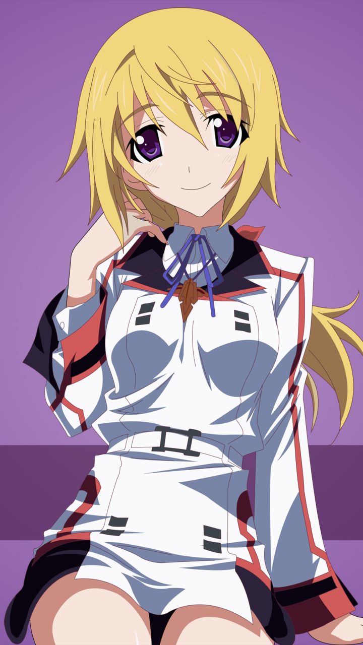 Baixar papel de parede para celular de Anime, Infinite Stratos gratuito.