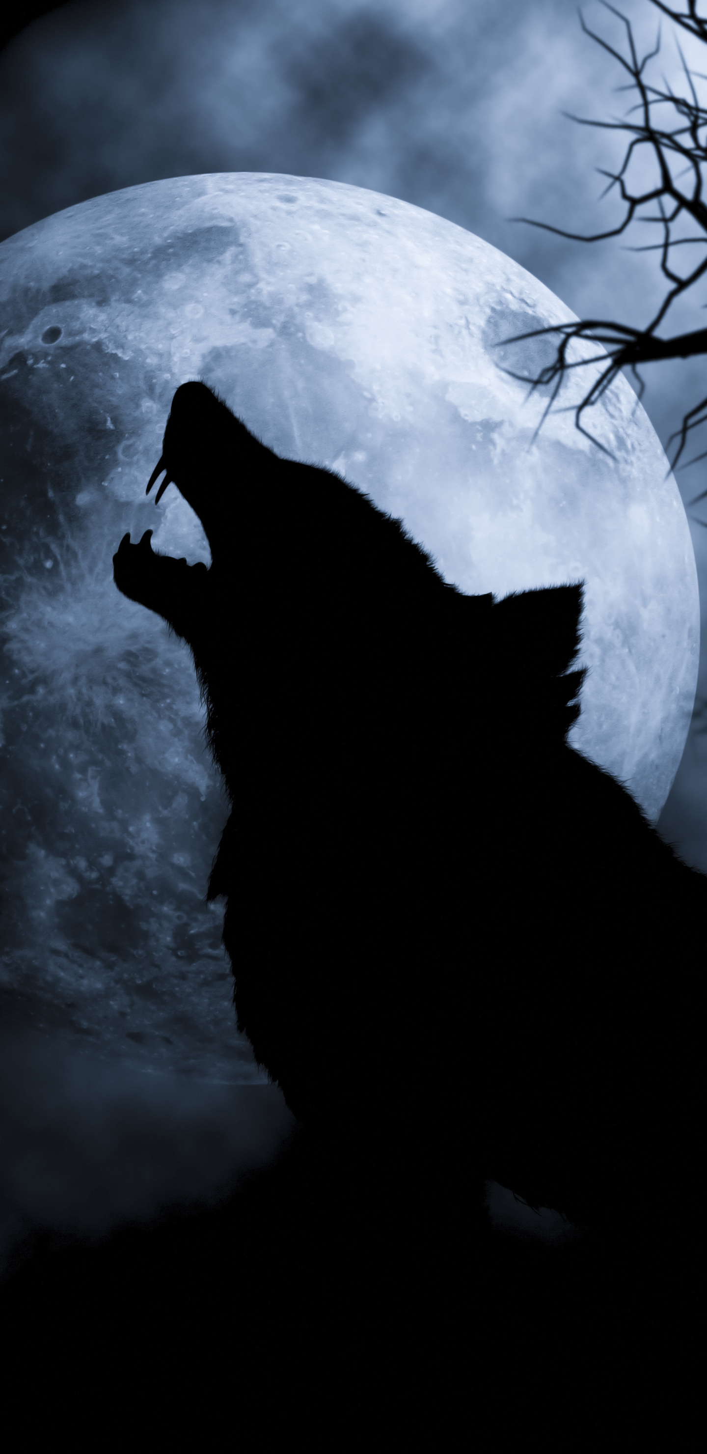 Descarga gratis la imagen Fantasía, Lobo, Animales De Fantasía en el escritorio de tu PC