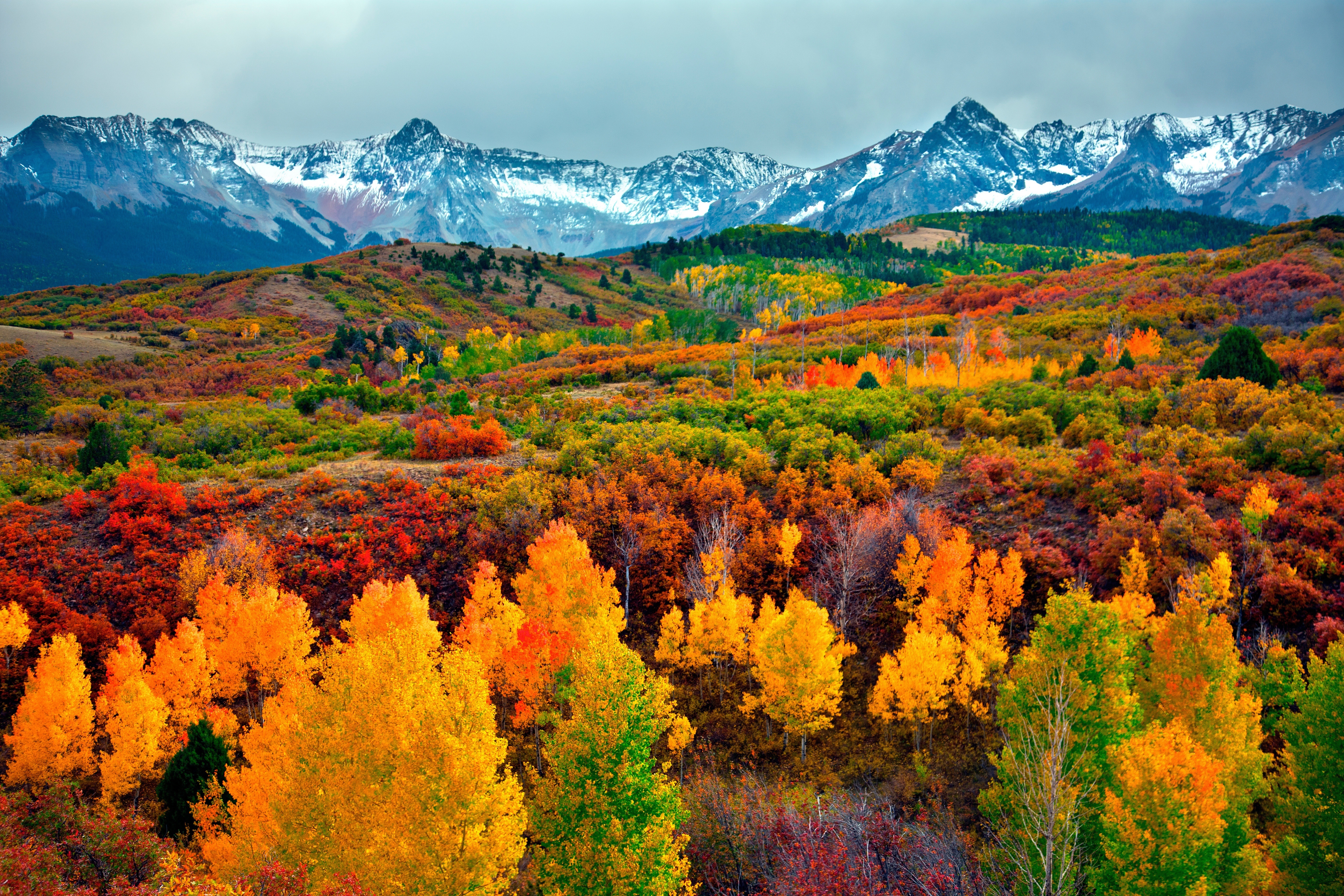 Скачать обои бесплатно Осень, Гора, Лес, Ландшафт, Земля/природа картинка на рабочий стол ПК