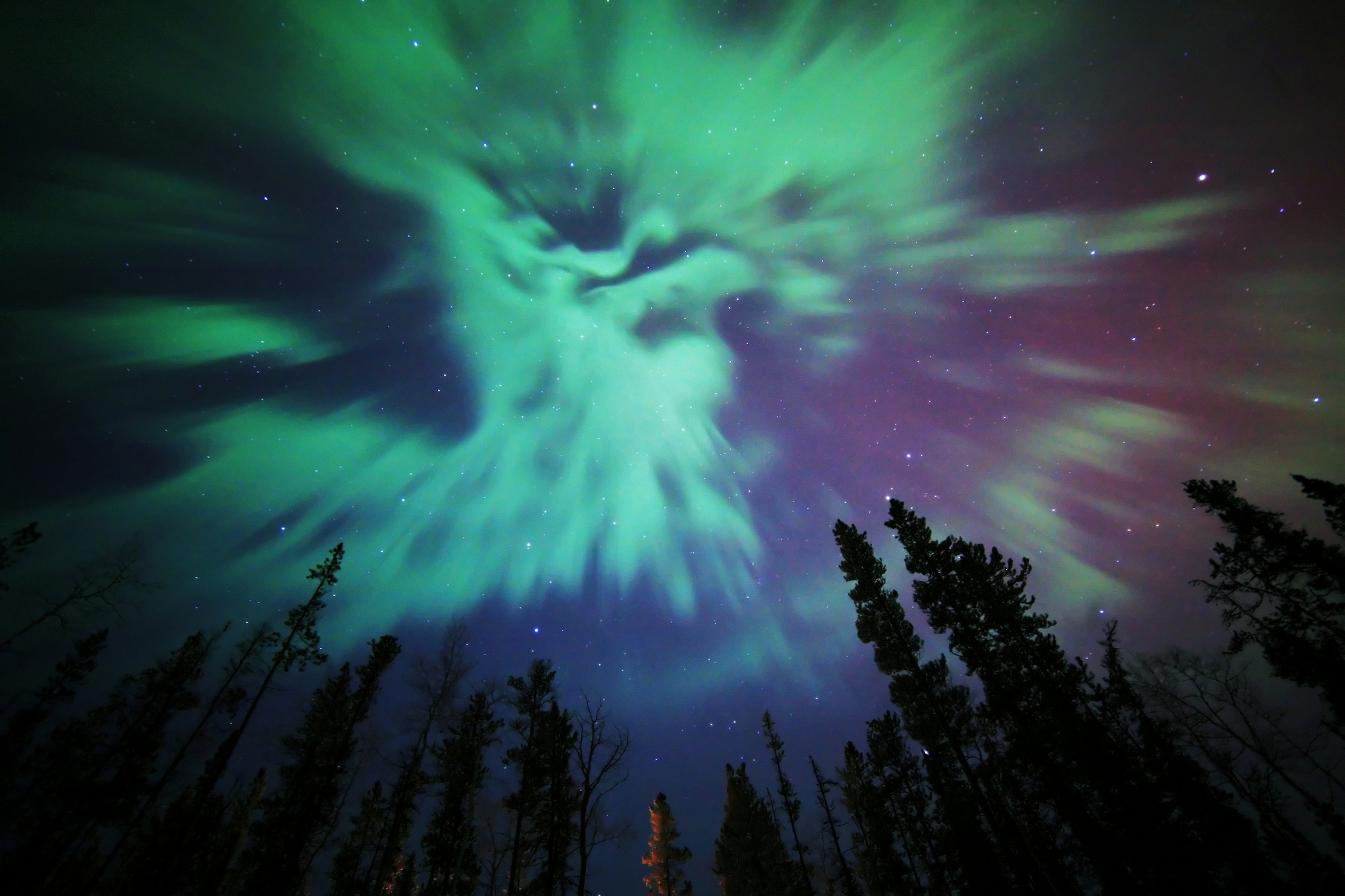 Laden Sie das Natur, Sterne, Licht, Baum, Nacht, Himmel, Erde/natur, Nordlicht-Bild kostenlos auf Ihren PC-Desktop herunter