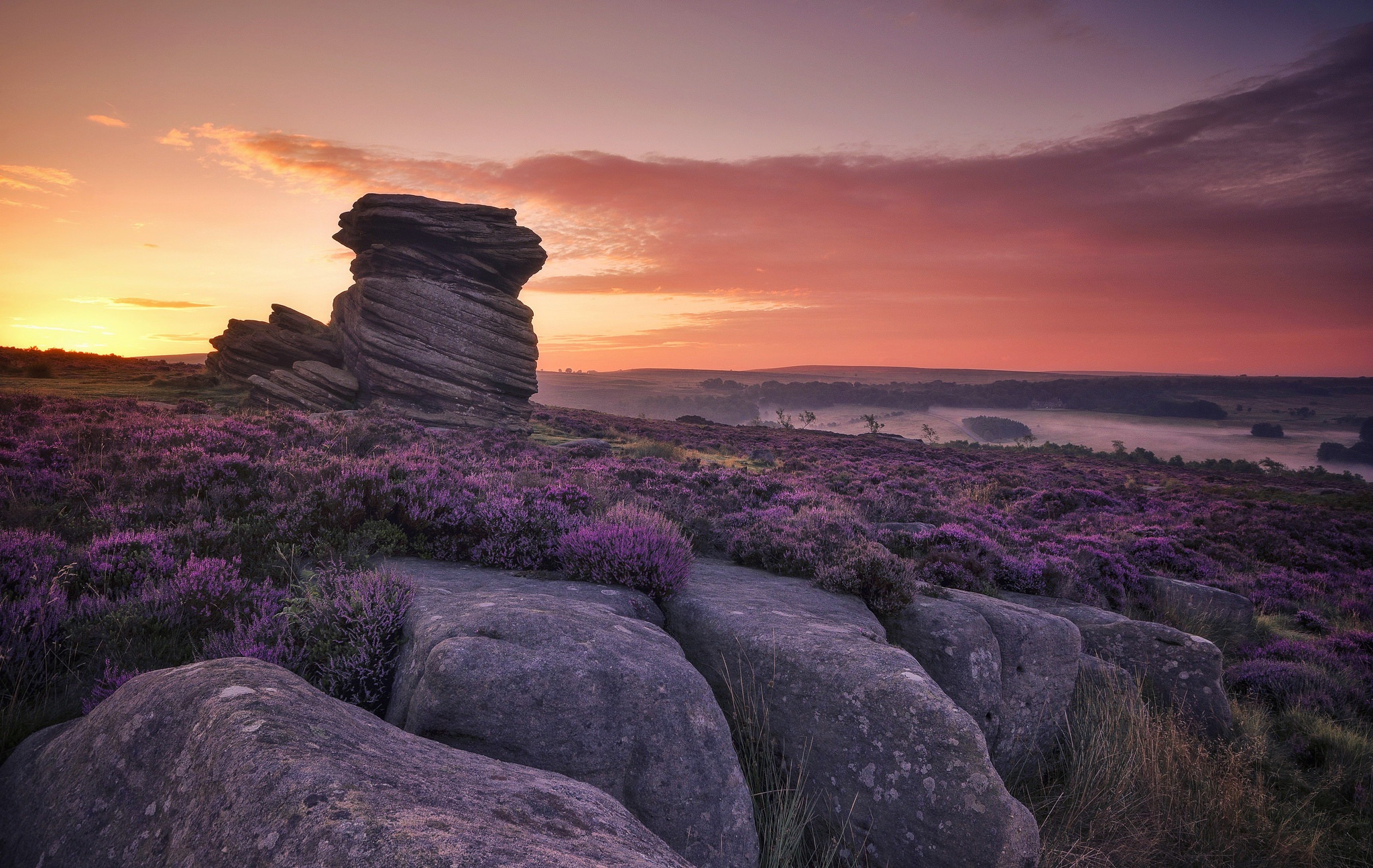 Descarga gratis la imagen Paisaje, Naturaleza, Cielo, Amanecer, Flor, Flor Purpura, Tierra/naturaleza en el escritorio de tu PC