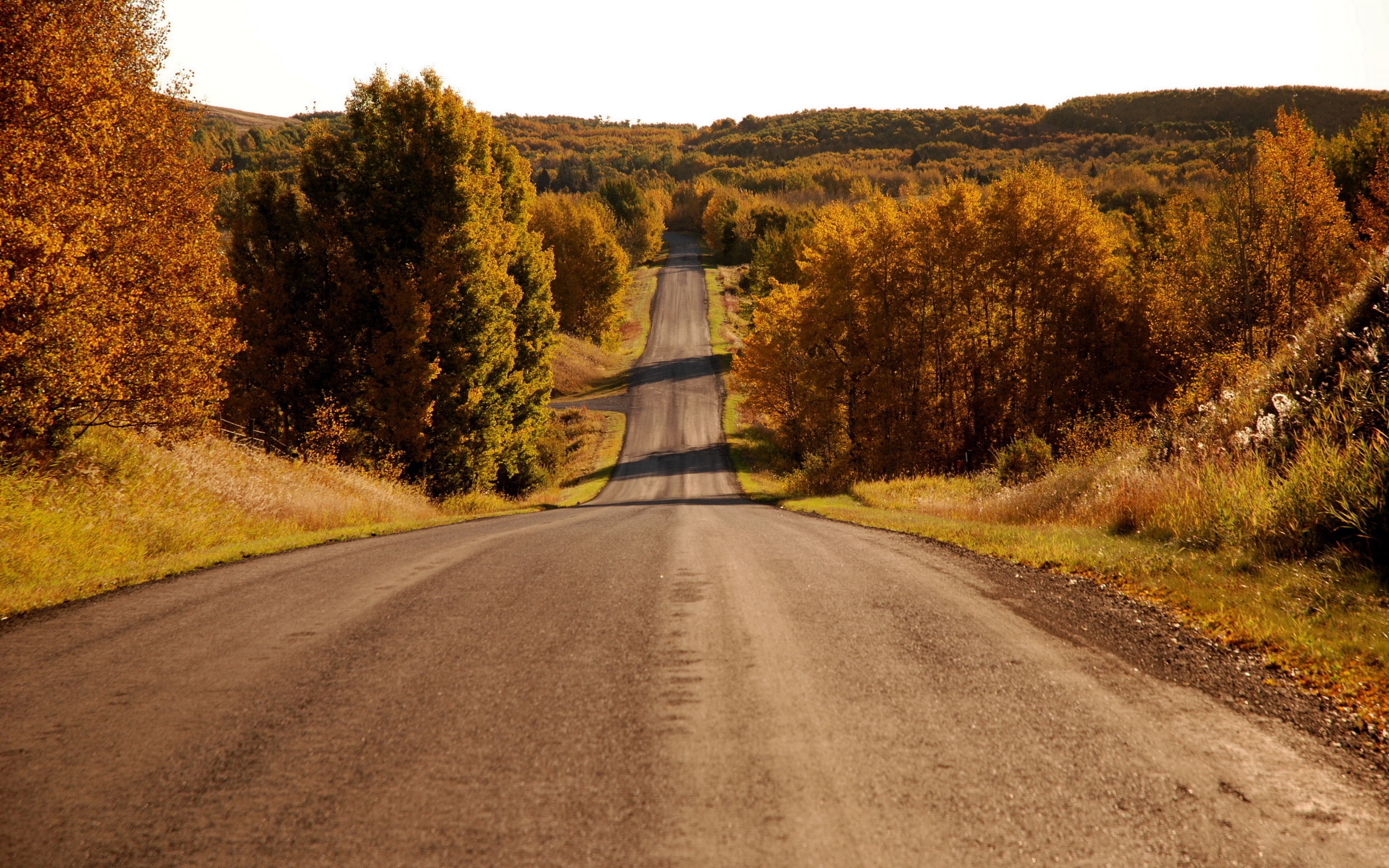 Laden Sie das Roads, Landschaft, Herbst-Bild kostenlos auf Ihren PC-Desktop herunter