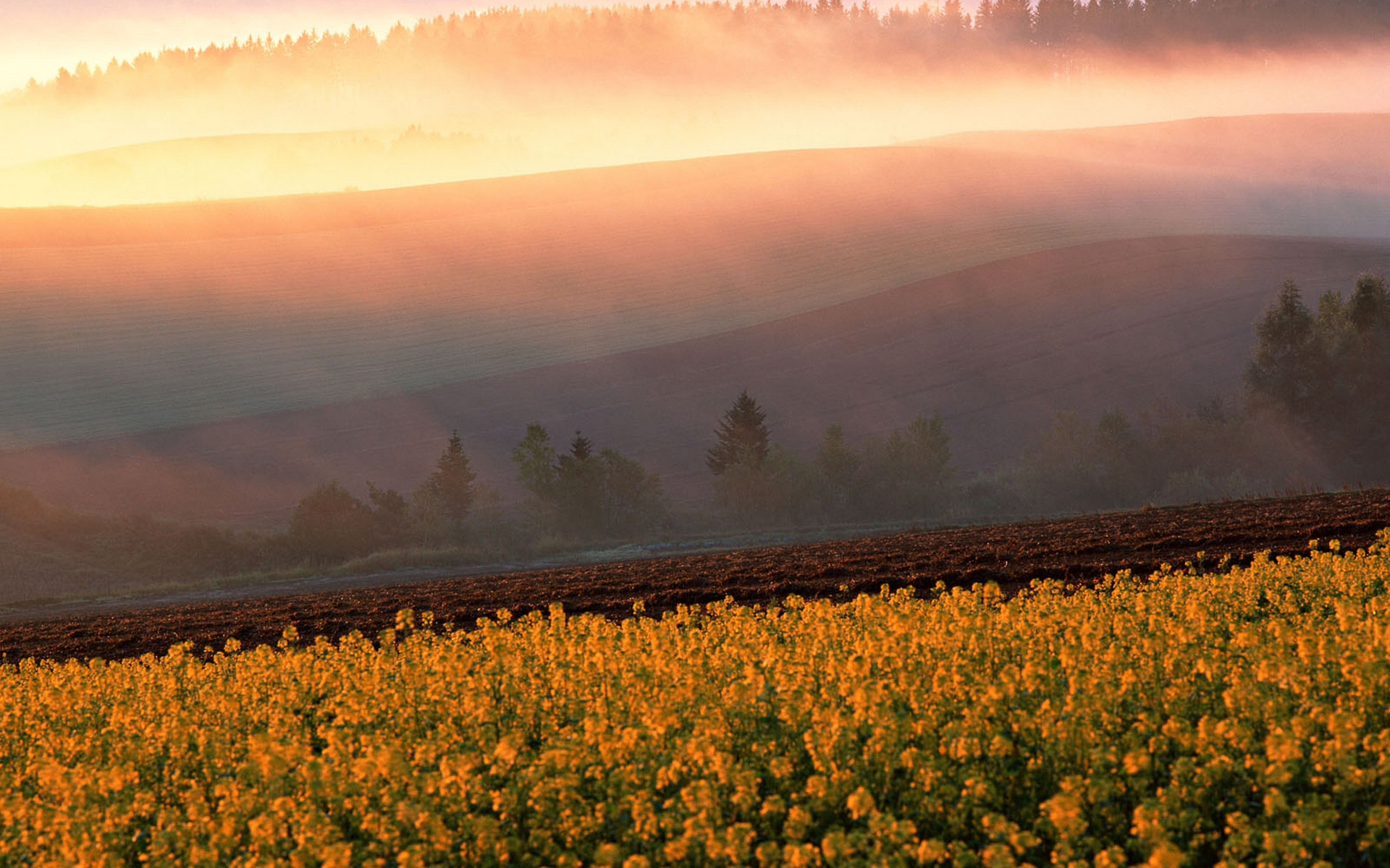 Handy-Wallpaper Landschaft, Erde/natur kostenlos herunterladen.