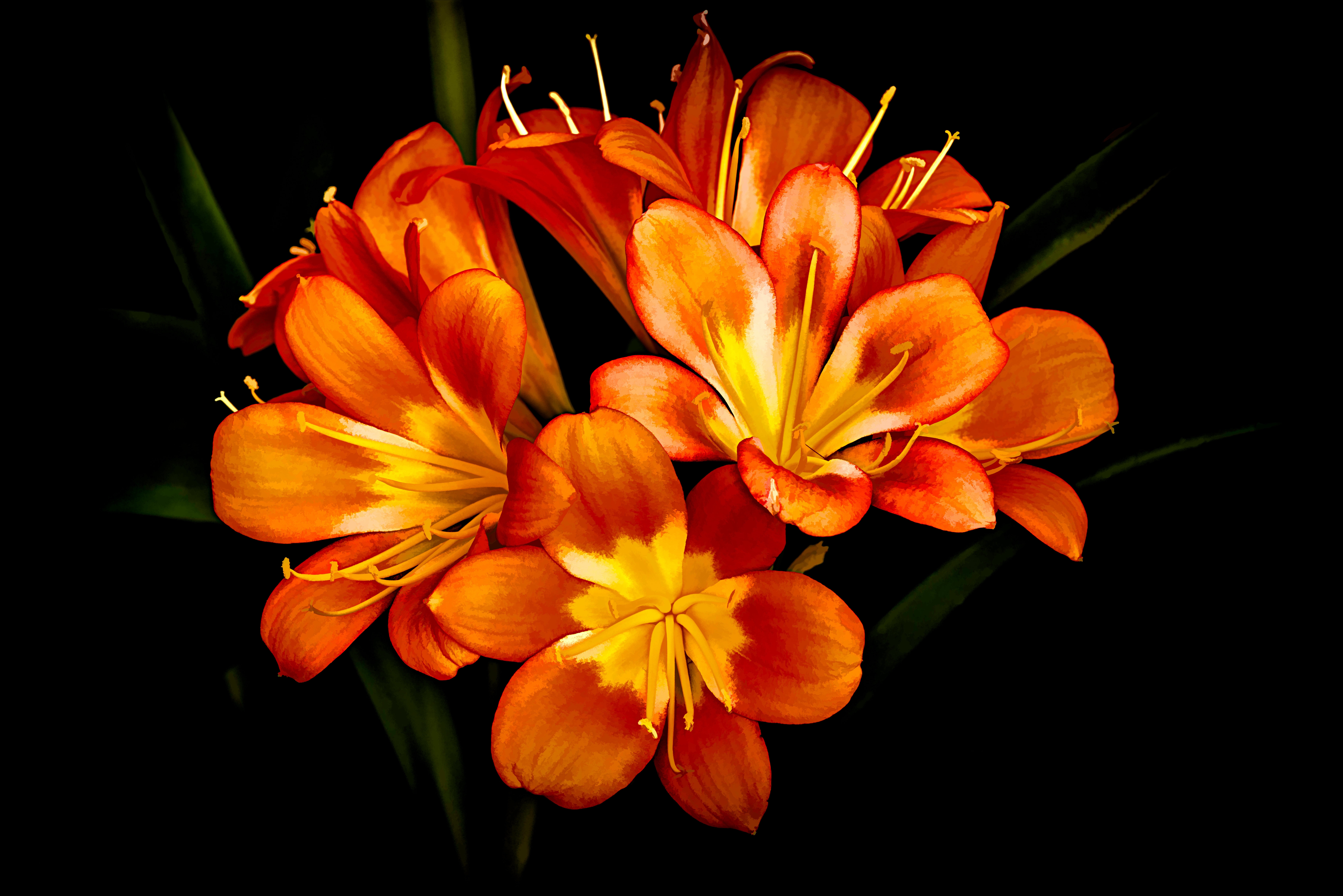 Laden Sie das Blumen, Blume, Malerei, Künstlerisch, Orangene Blume-Bild kostenlos auf Ihren PC-Desktop herunter