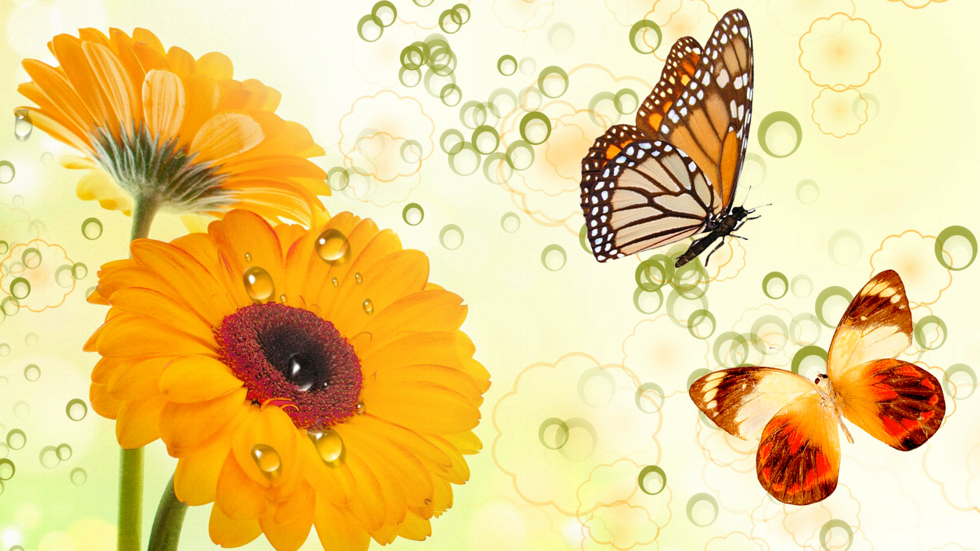 Завантажити шпалери безкоштовно Квітка, Комаха, Метелик, Художній, Гербера, Жовта Квітка картинка на робочий стіл ПК