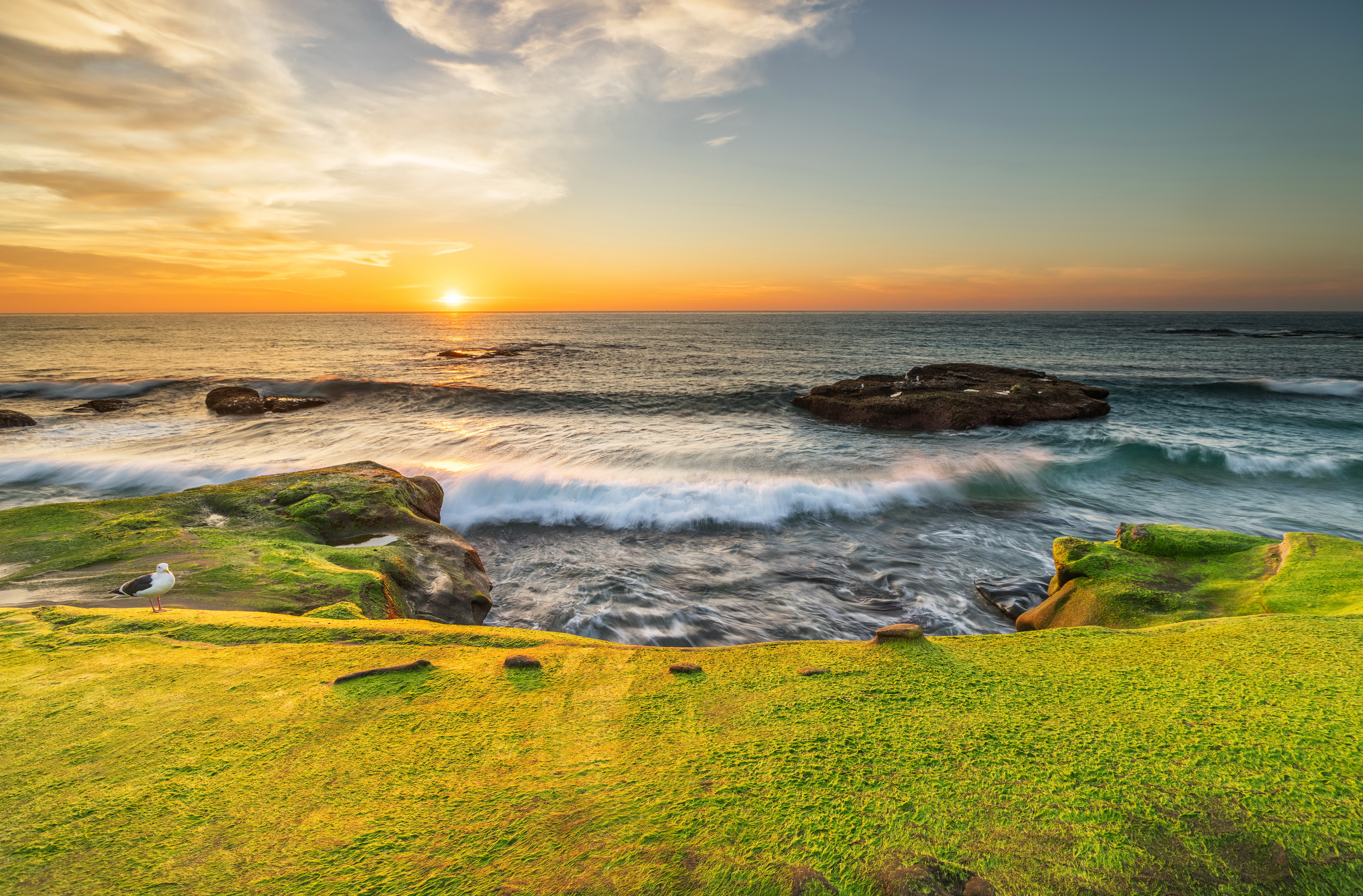 Download mobile wallpaper Sunset, Horizon, Ocean, Earth, Seagull, Coastline for free.