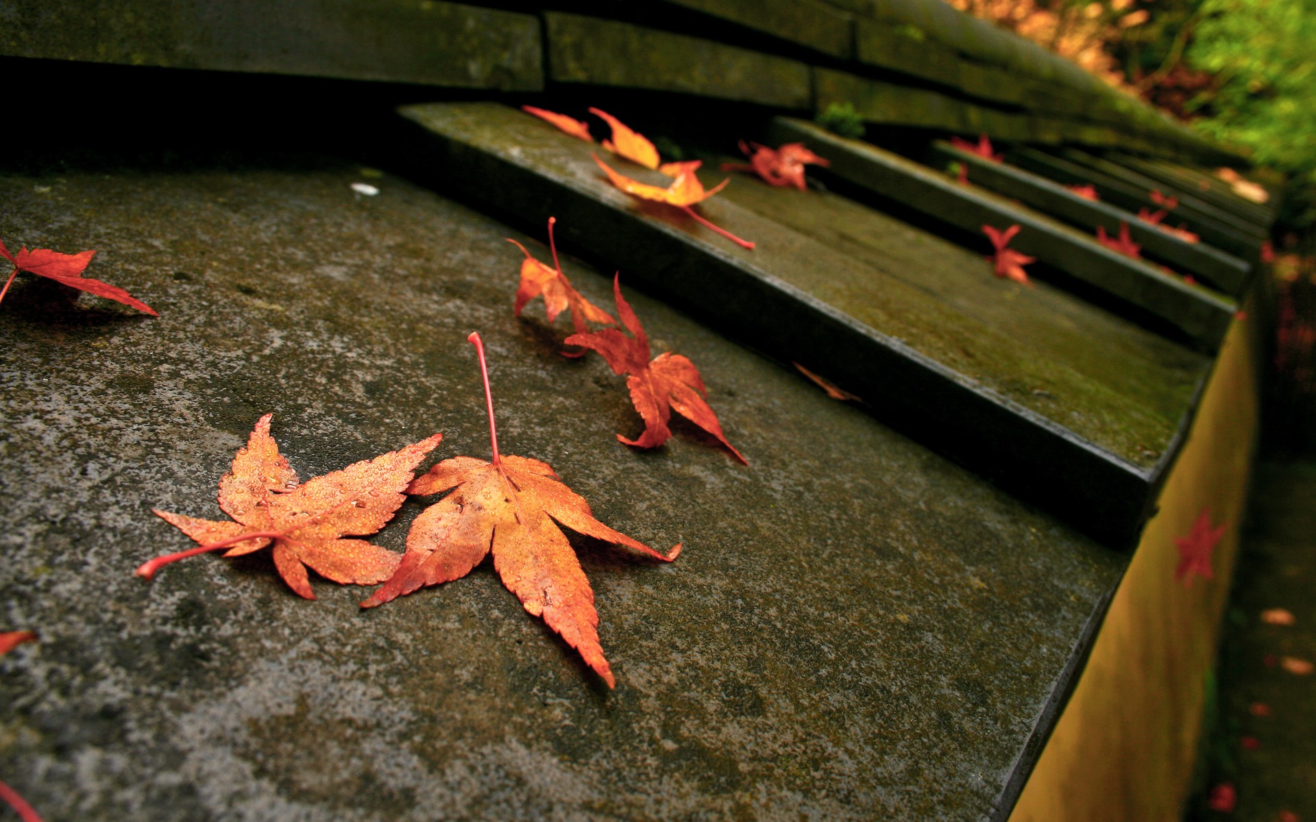 Free download wallpaper Fall, Photography on your PC desktop