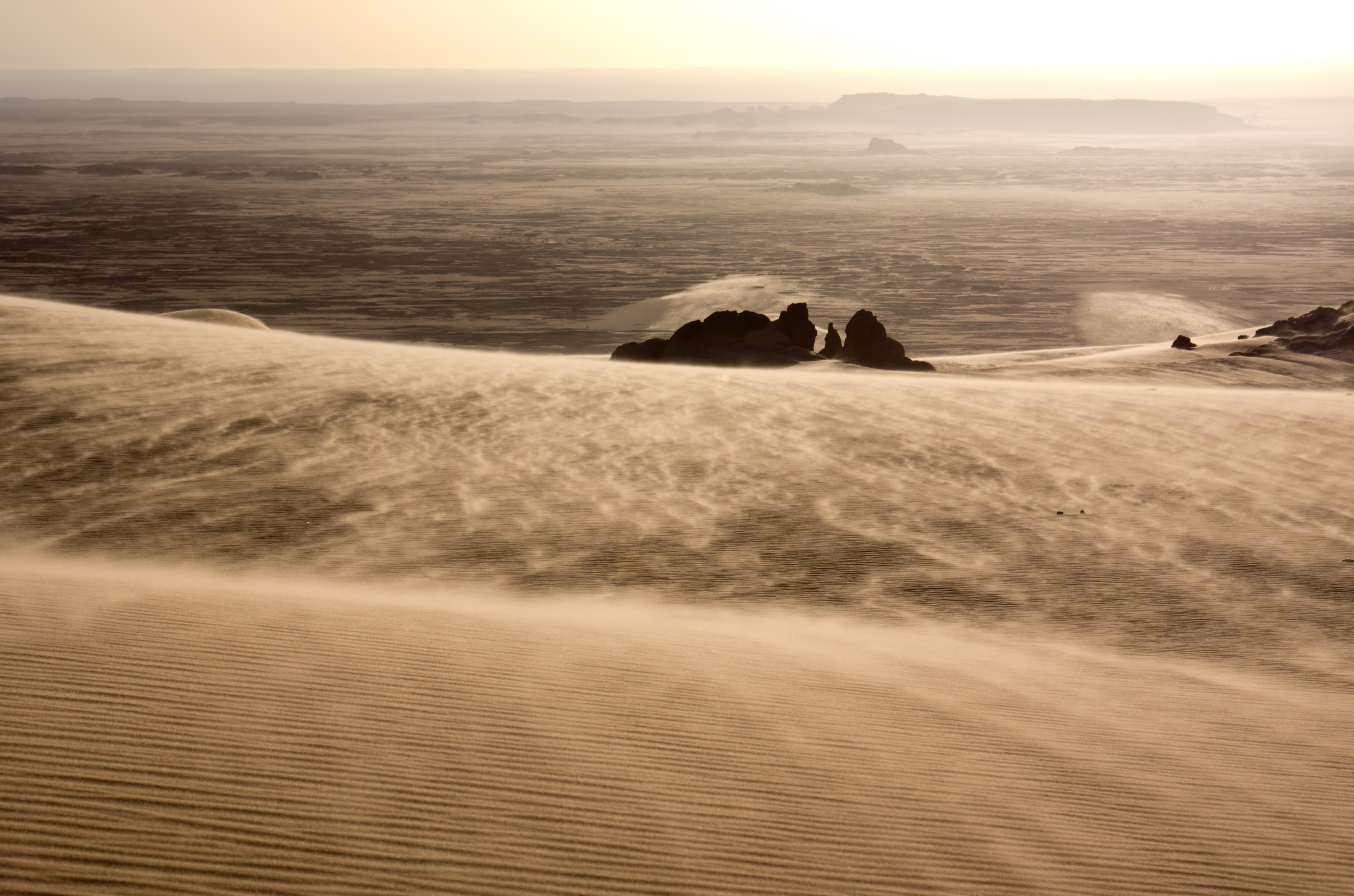 816084 скачать картинку земля/природа, пустыня, африка, алжир, дюна, пыль, ландшафт, сахара, песок, тассили н'аджер, ветер - обои и заставки бесплатно