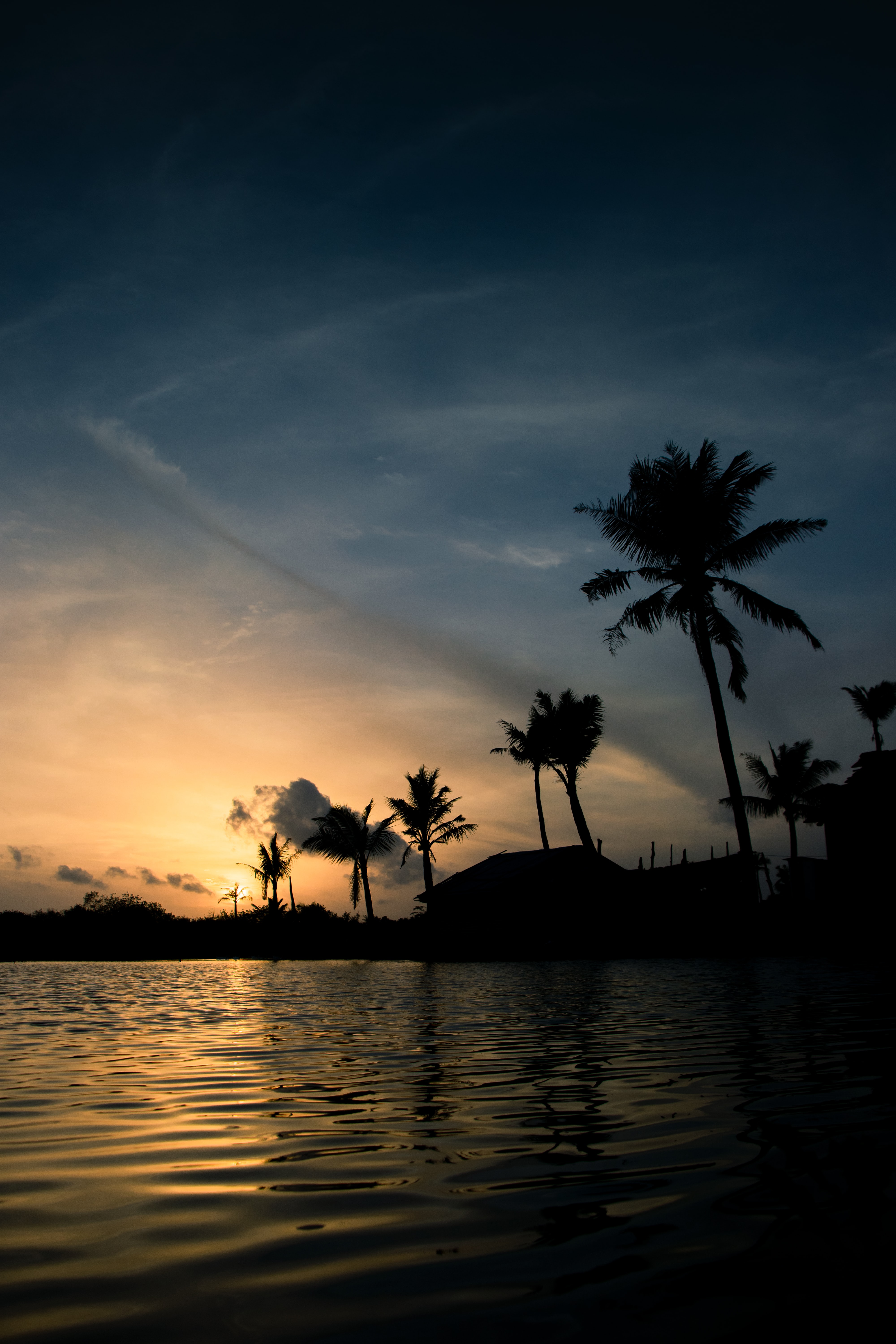 india, palms, dark, sunset, sea, structure