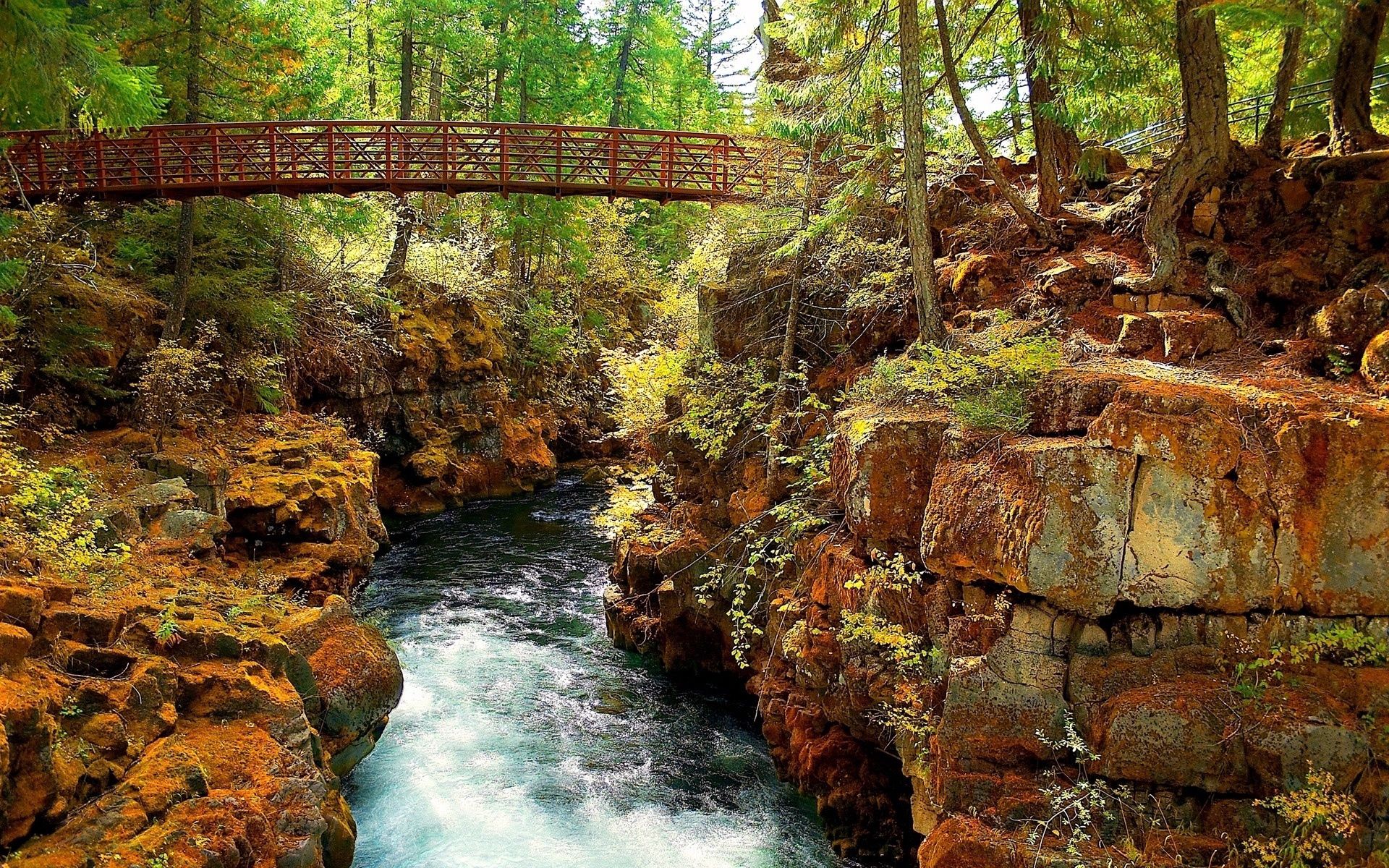 bridge, landscape, nature, trees, stones, river Free Stock Photo
