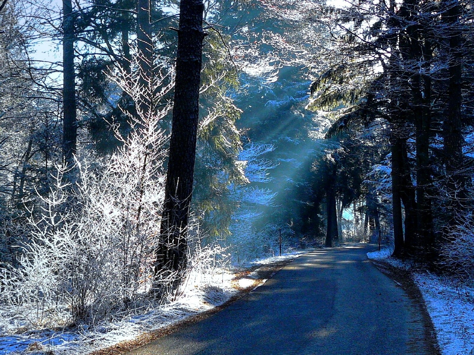 Download mobile wallpaper Winter, Snow, Road, Forest, Tree, Earth, Sunbeam, Sunshine for free.