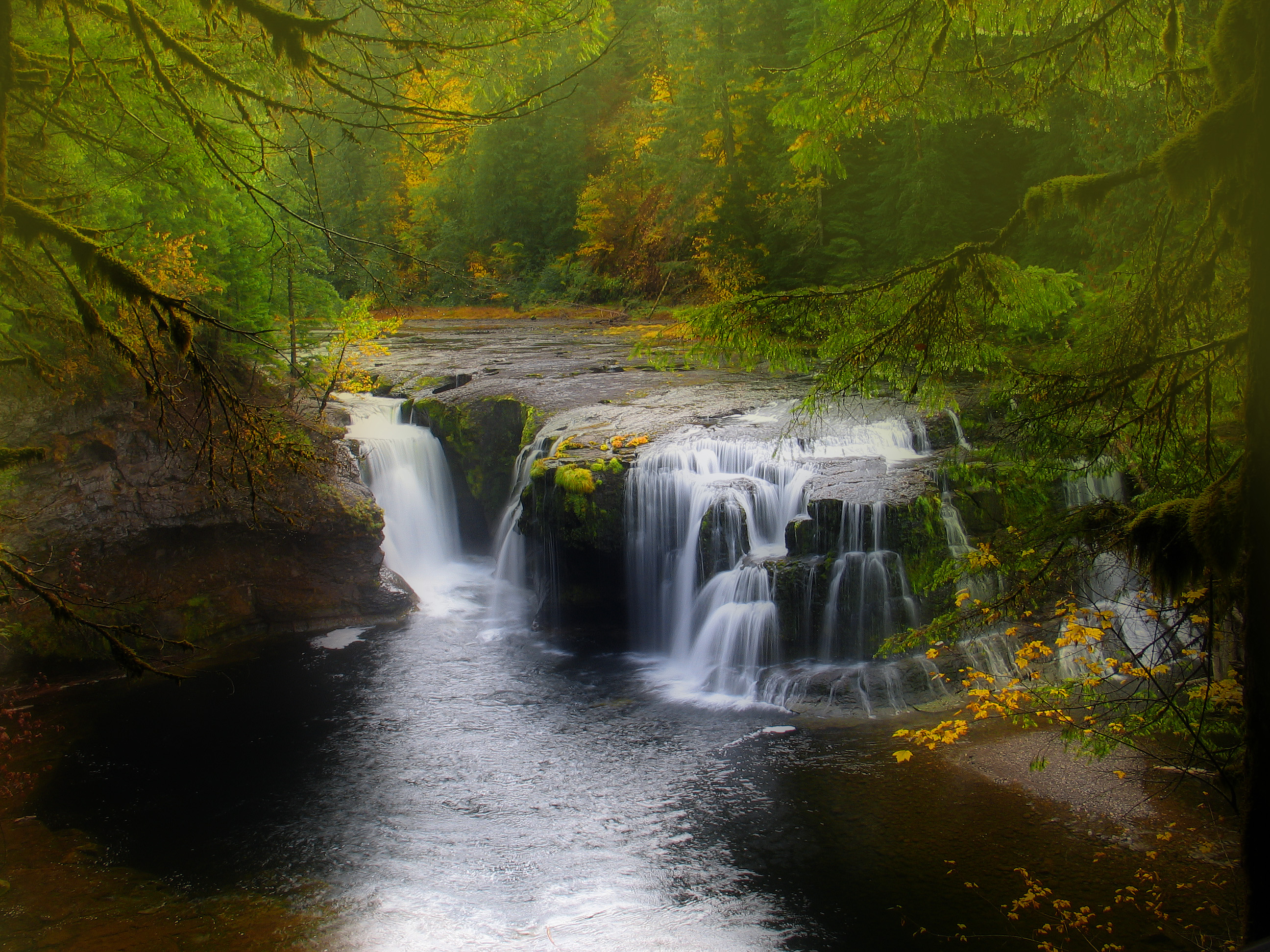 Handy-Wallpaper Wasserfälle, Wasserfall, Wald, Baum, Erde/natur kostenlos herunterladen.