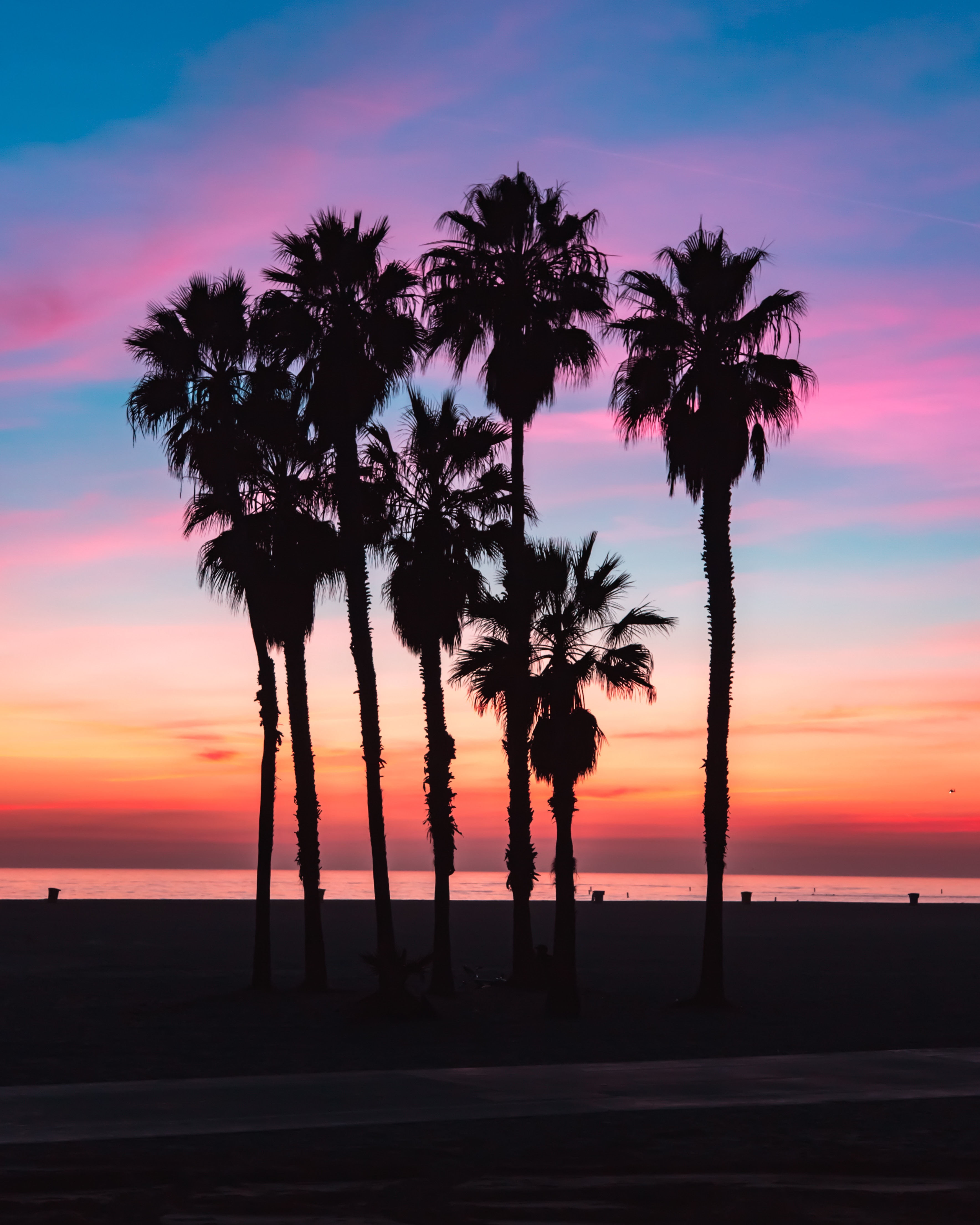 shadow, beach, silhouettes, nature, sky, palms cellphone
