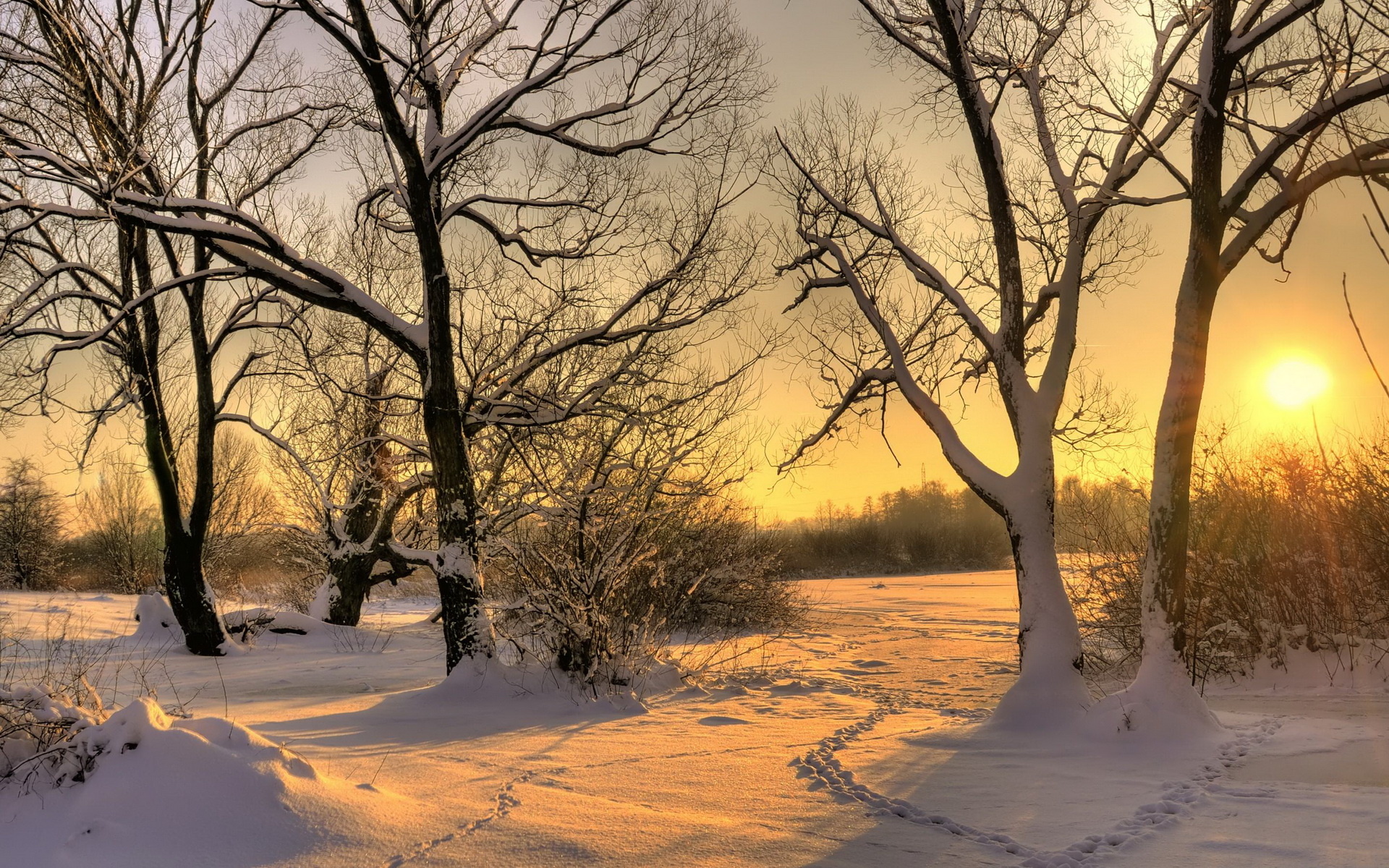 Baixar papel de parede para celular de Inverno, Terra/natureza gratuito.