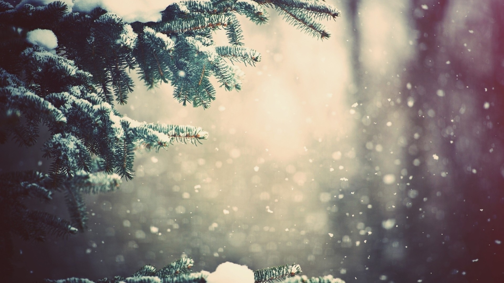 Free download wallpaper Winter, Earth, Snowfall on your PC desktop