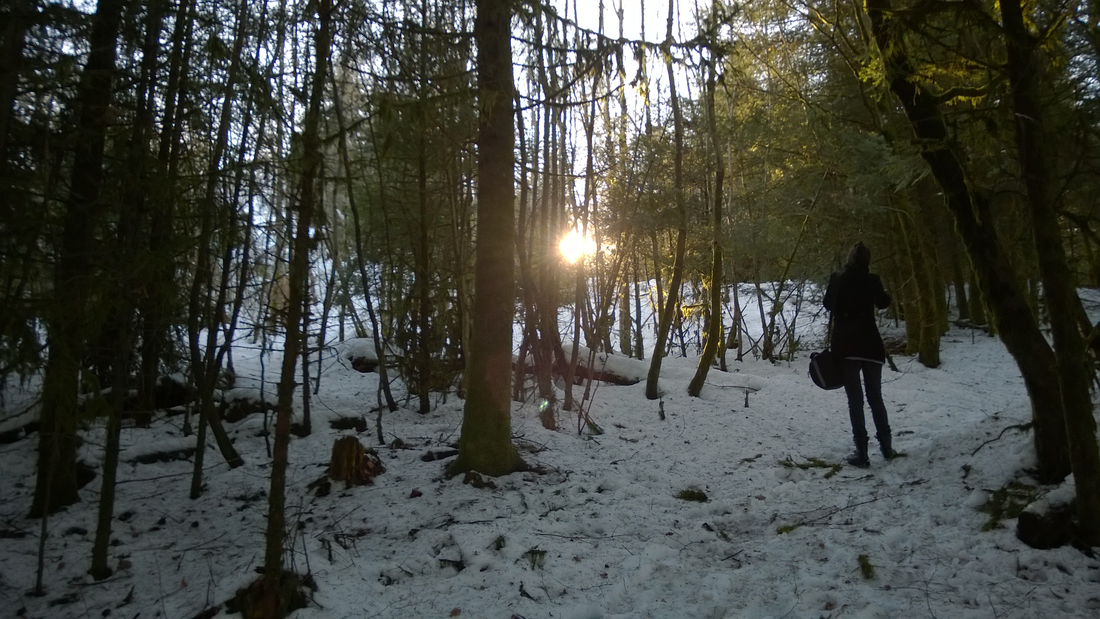 Téléchargez gratuitement l'image Hiver, Coucher De Soleil, Forêt, Arbre, Photographie sur le bureau de votre PC