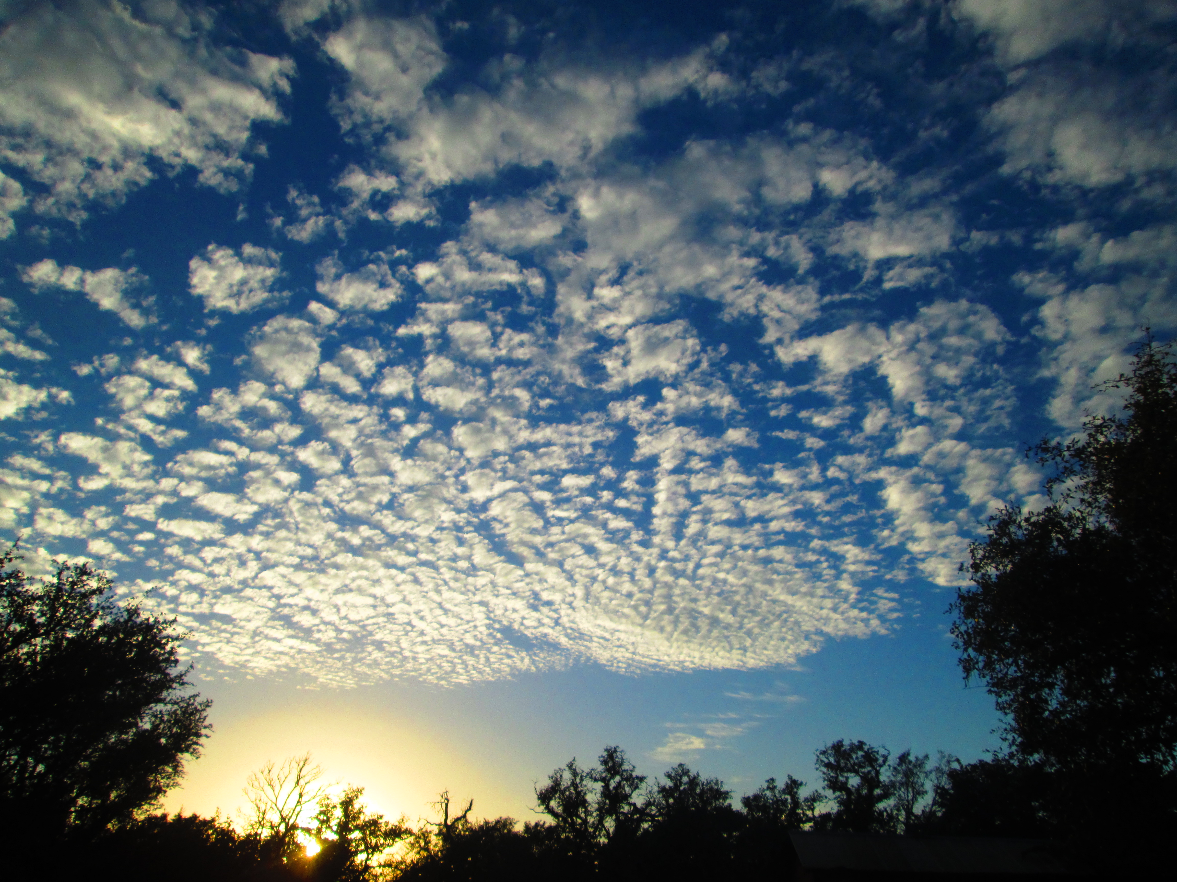 Descarga gratis la imagen Nube, Tierra/naturaleza en el escritorio de tu PC