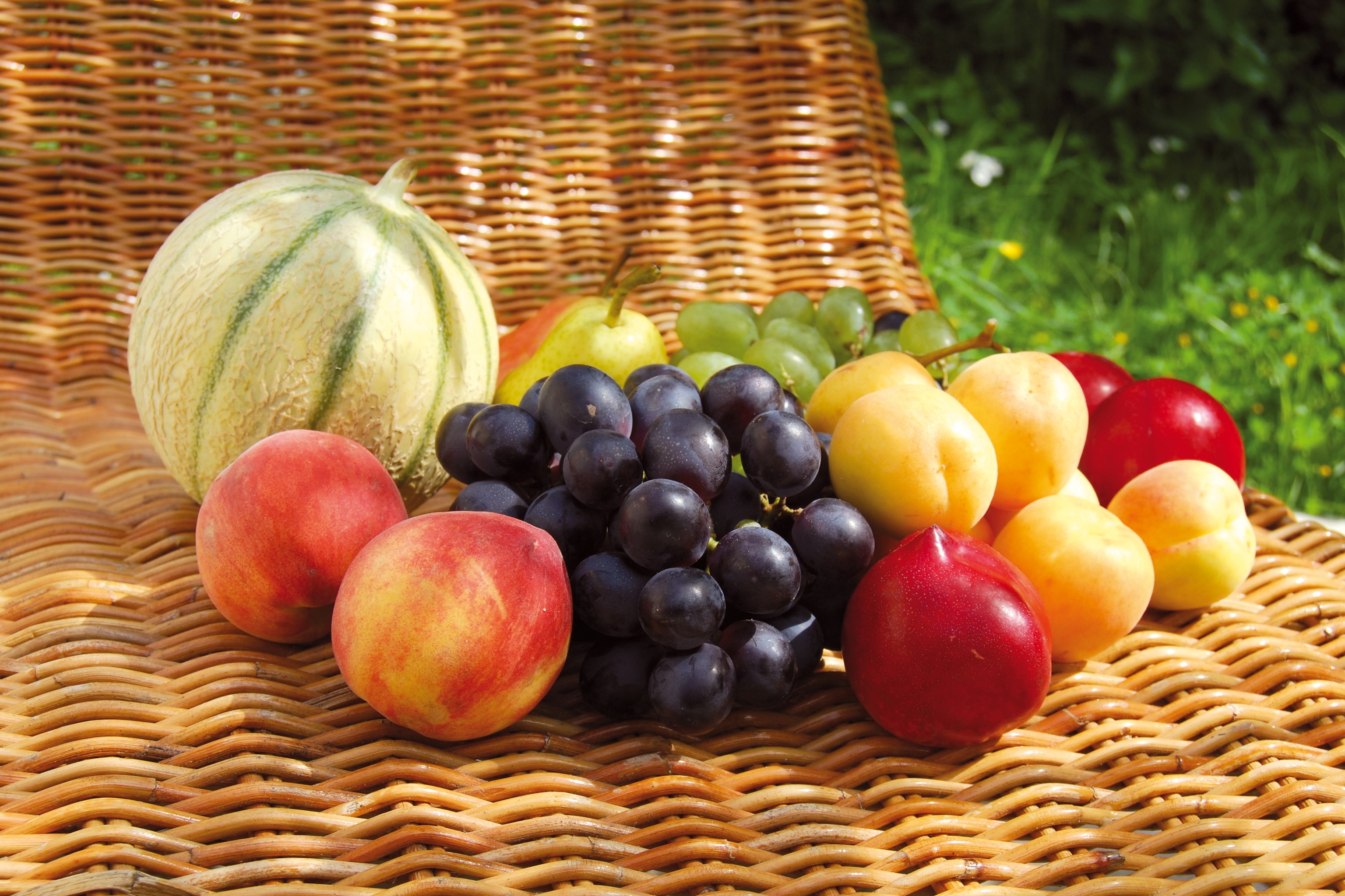 Fruits Widescreen image