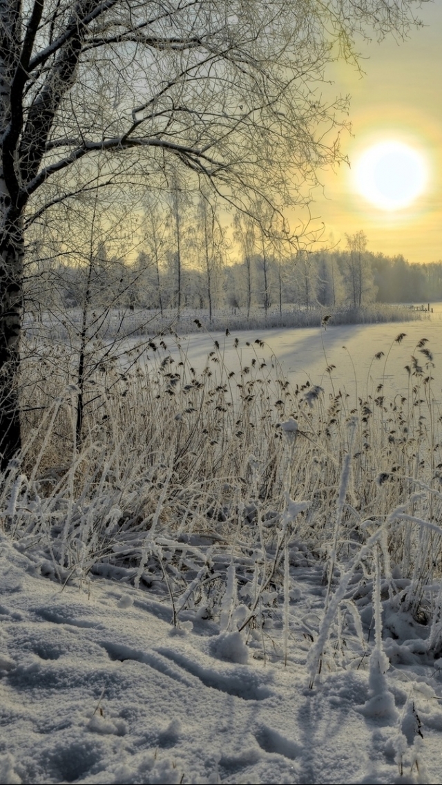 Handy-Wallpaper Winter, Erde/natur kostenlos herunterladen.