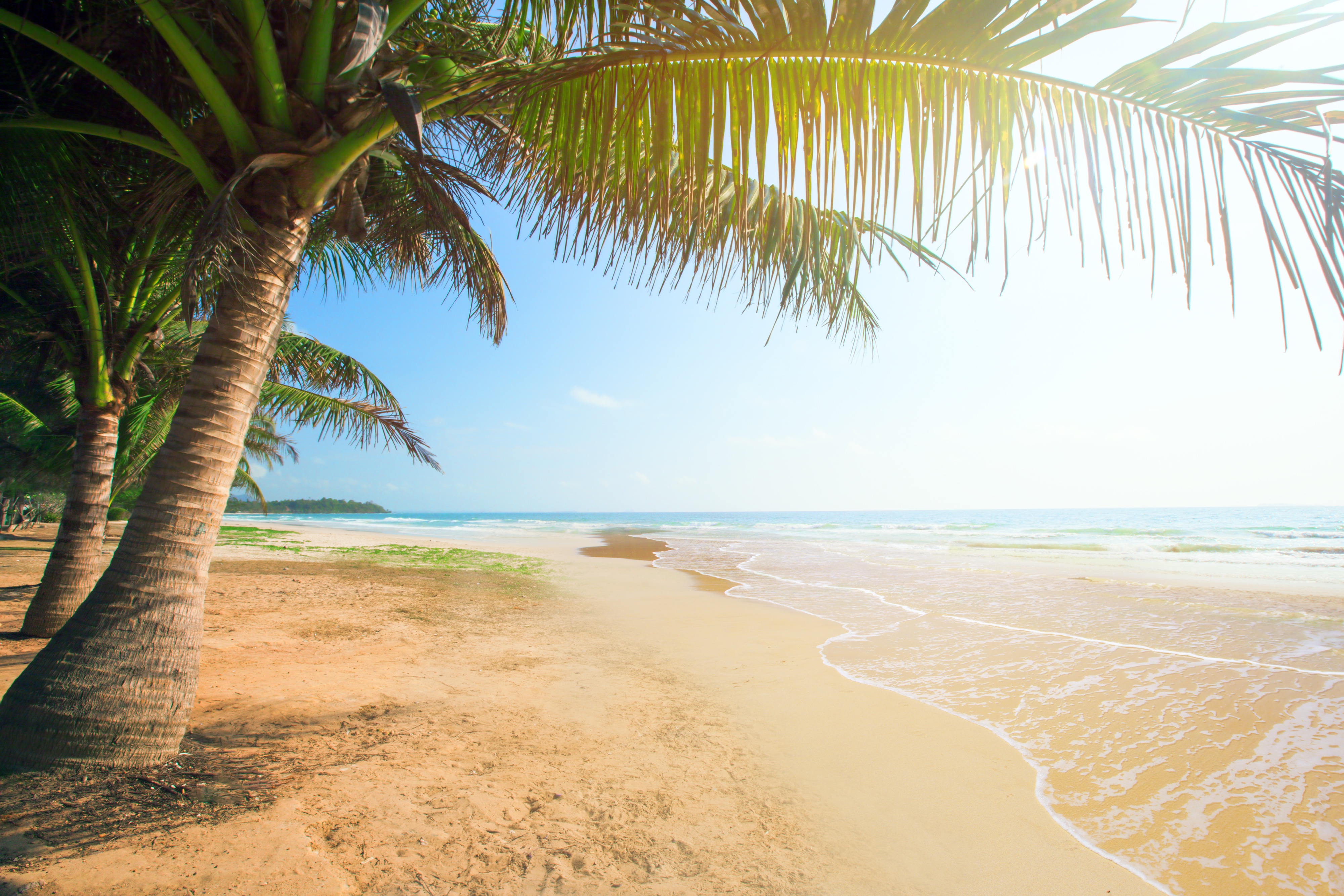 Laden Sie das Natur, Strand, Sand, Horizont, Küste, Baum, Ozean, Palme, Erde/natur-Bild kostenlos auf Ihren PC-Desktop herunter