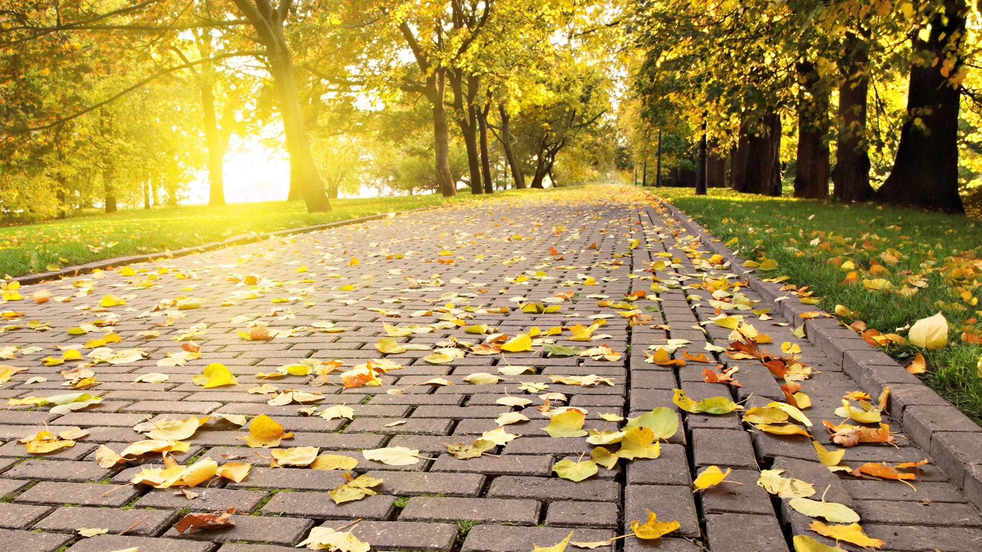Free download wallpaper Roads, Autumn, Leaves, Landscape on your PC desktop