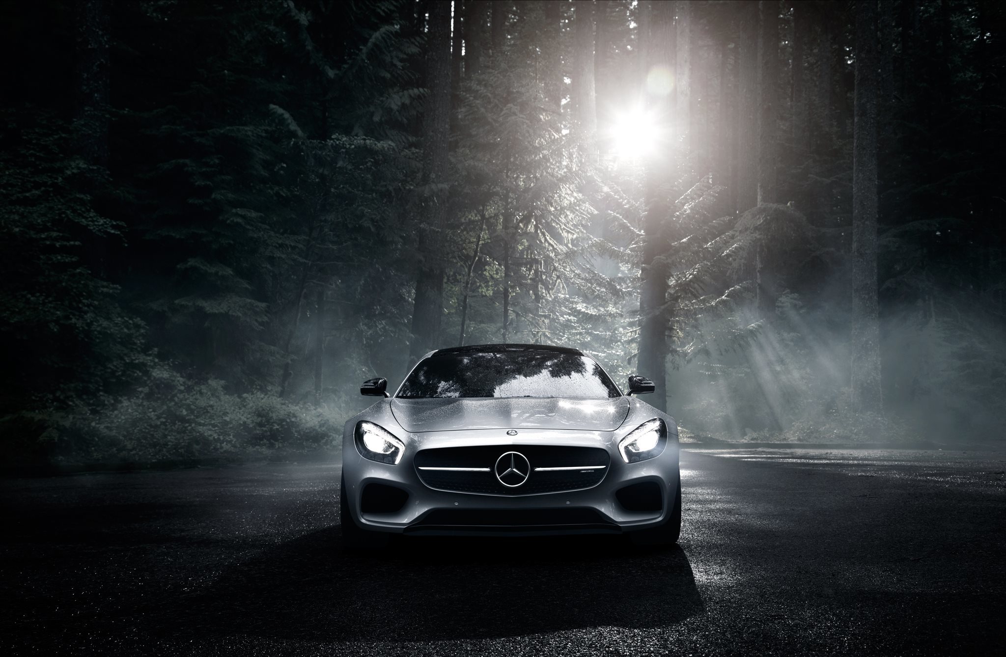 mercedes benz, gt s, cars, silvery, night, forest, front view, amg, silver, 2016