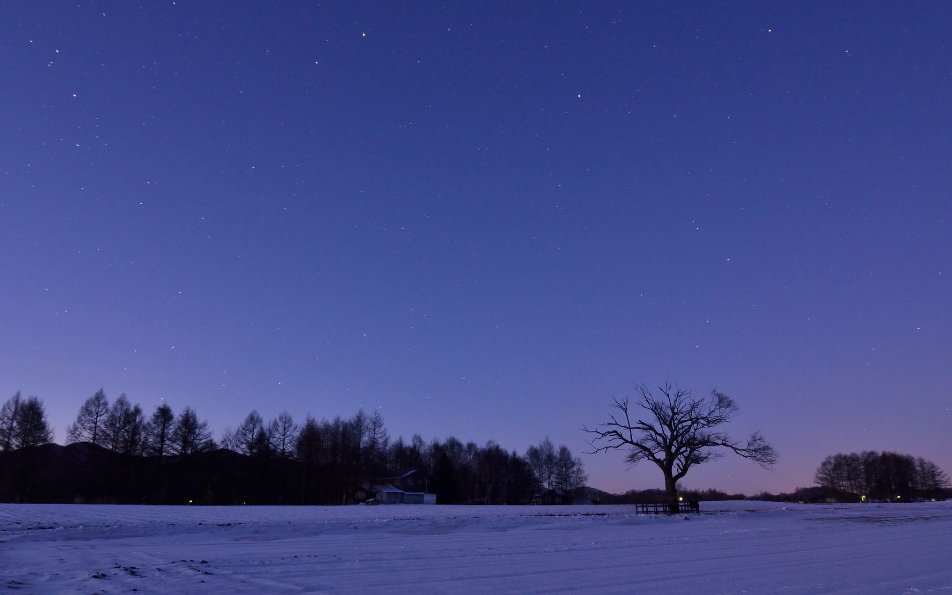 Téléchargez gratuitement l'image Hiver, Terre/nature sur le bureau de votre PC