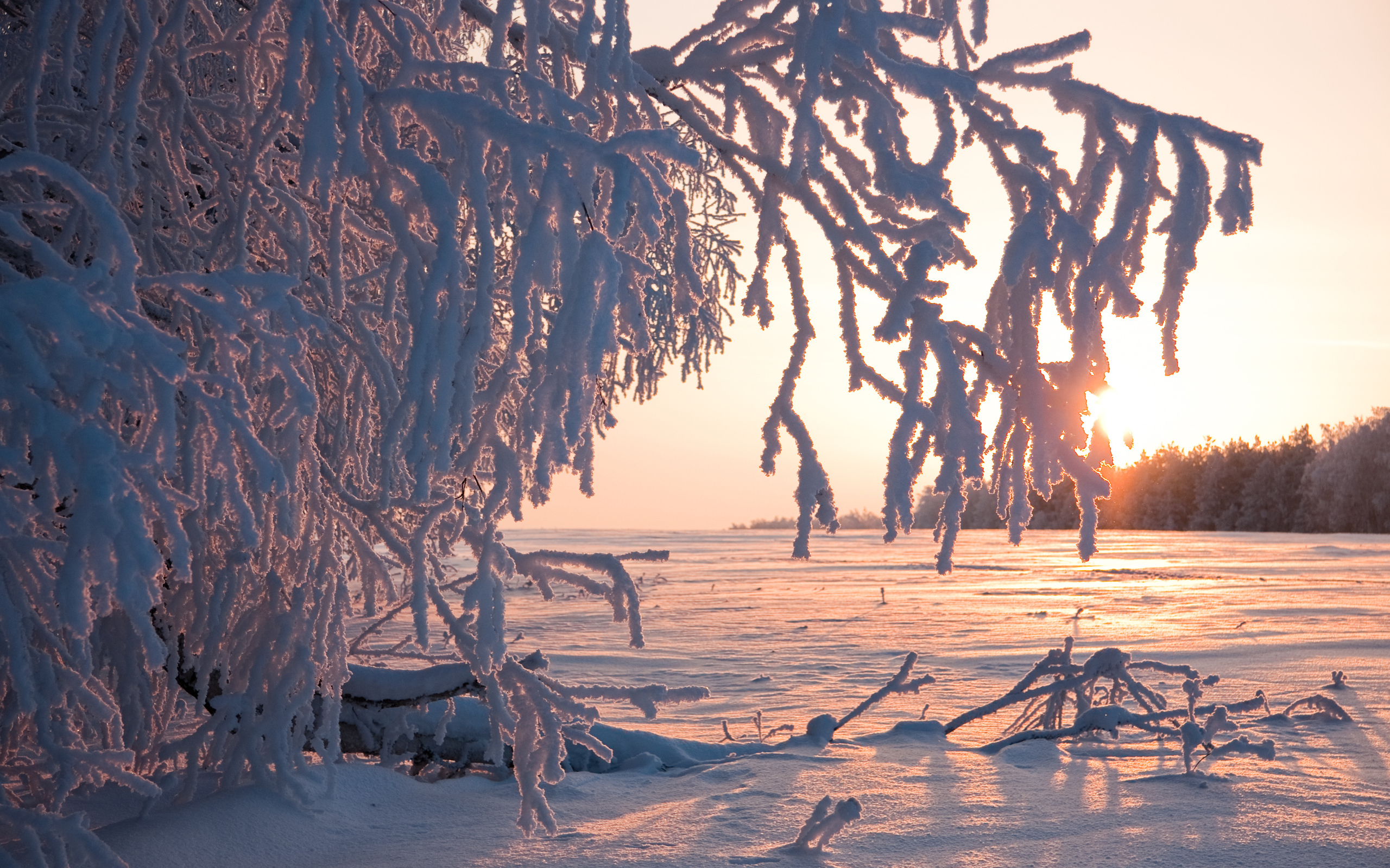 Téléchargez des papiers peints mobile Hiver, Terre/nature gratuitement.