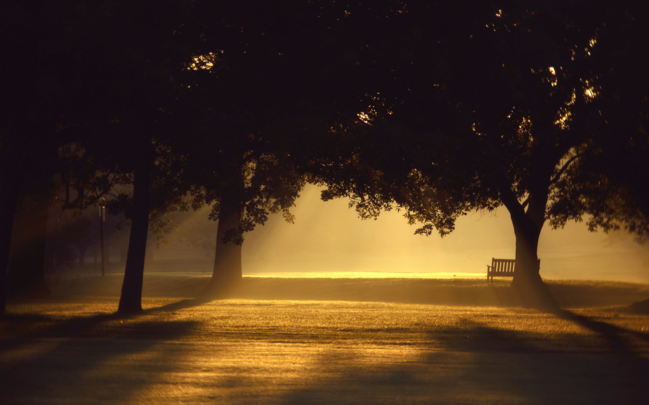 Téléchargez gratuitement l'image Brouillard, Terre/nature sur le bureau de votre PC