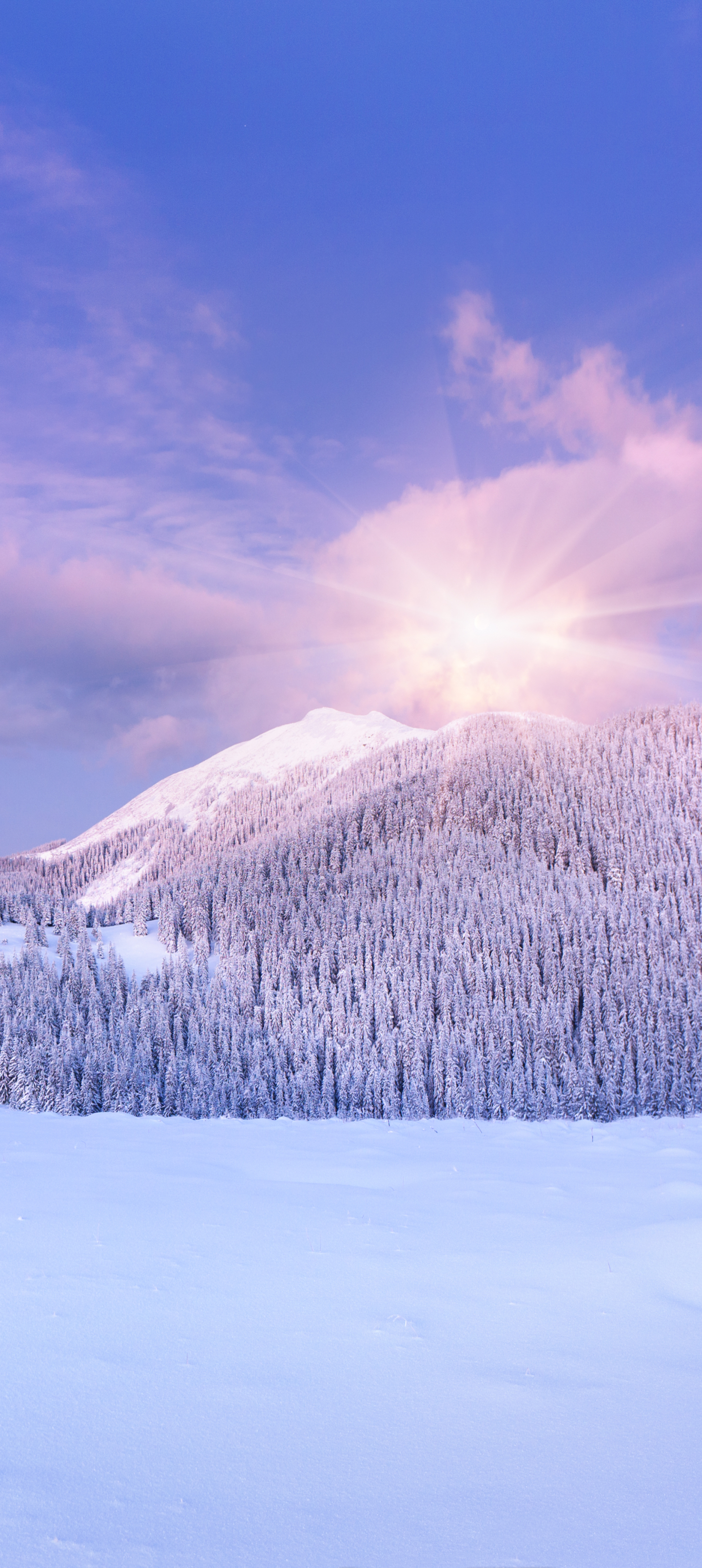 Download mobile wallpaper Landscape, Winter, Snow, Earth for free.
