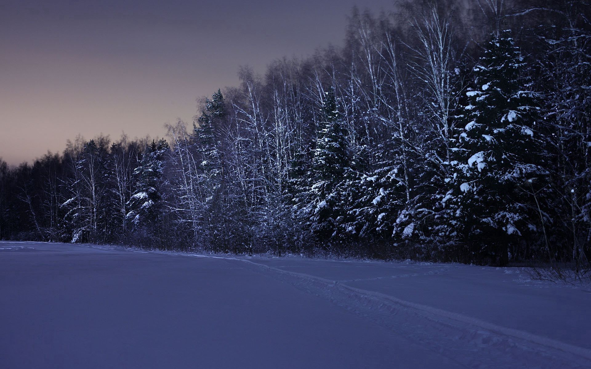 Laden Sie das Bäume, Natur, Übernachtung, Schnee, Feld, Winter-Bild kostenlos auf Ihren PC-Desktop herunter