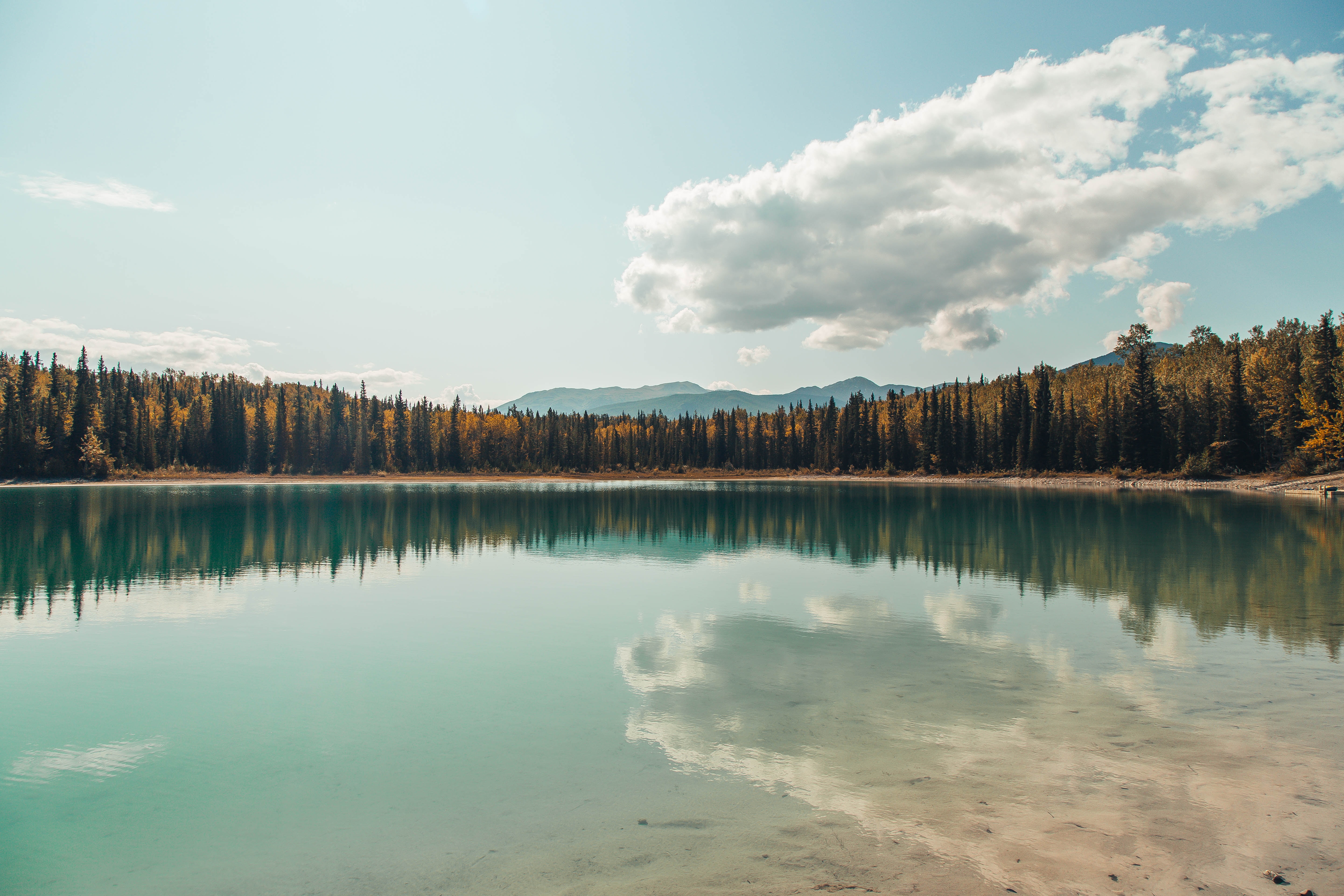 Laden Sie das Reflexion, Natur, Bank, Bäume, Clouds, See, Ufer, Landschaft-Bild kostenlos auf Ihren PC-Desktop herunter