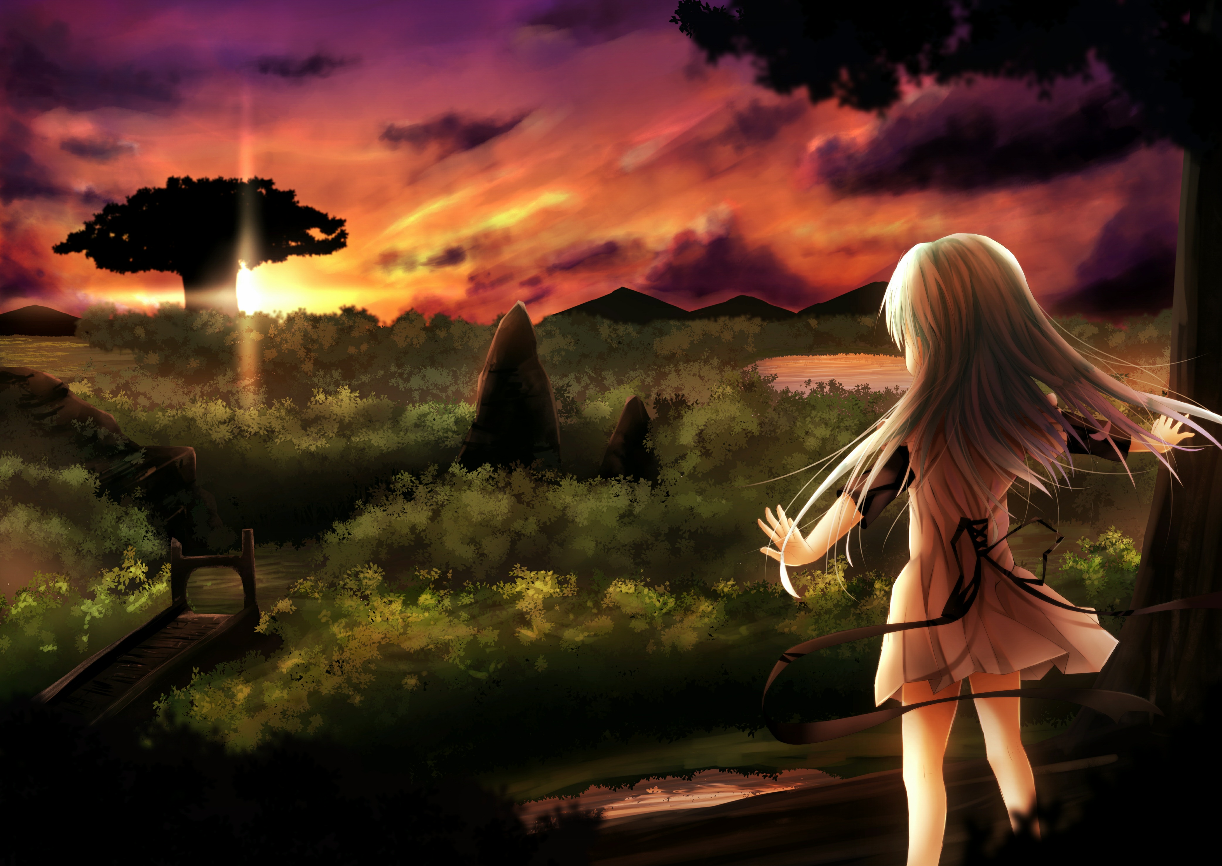 Handy-Wallpaper Wald, Original, Blondinen, Sonnenuntergang, Animes, Lange Haare kostenlos herunterladen.