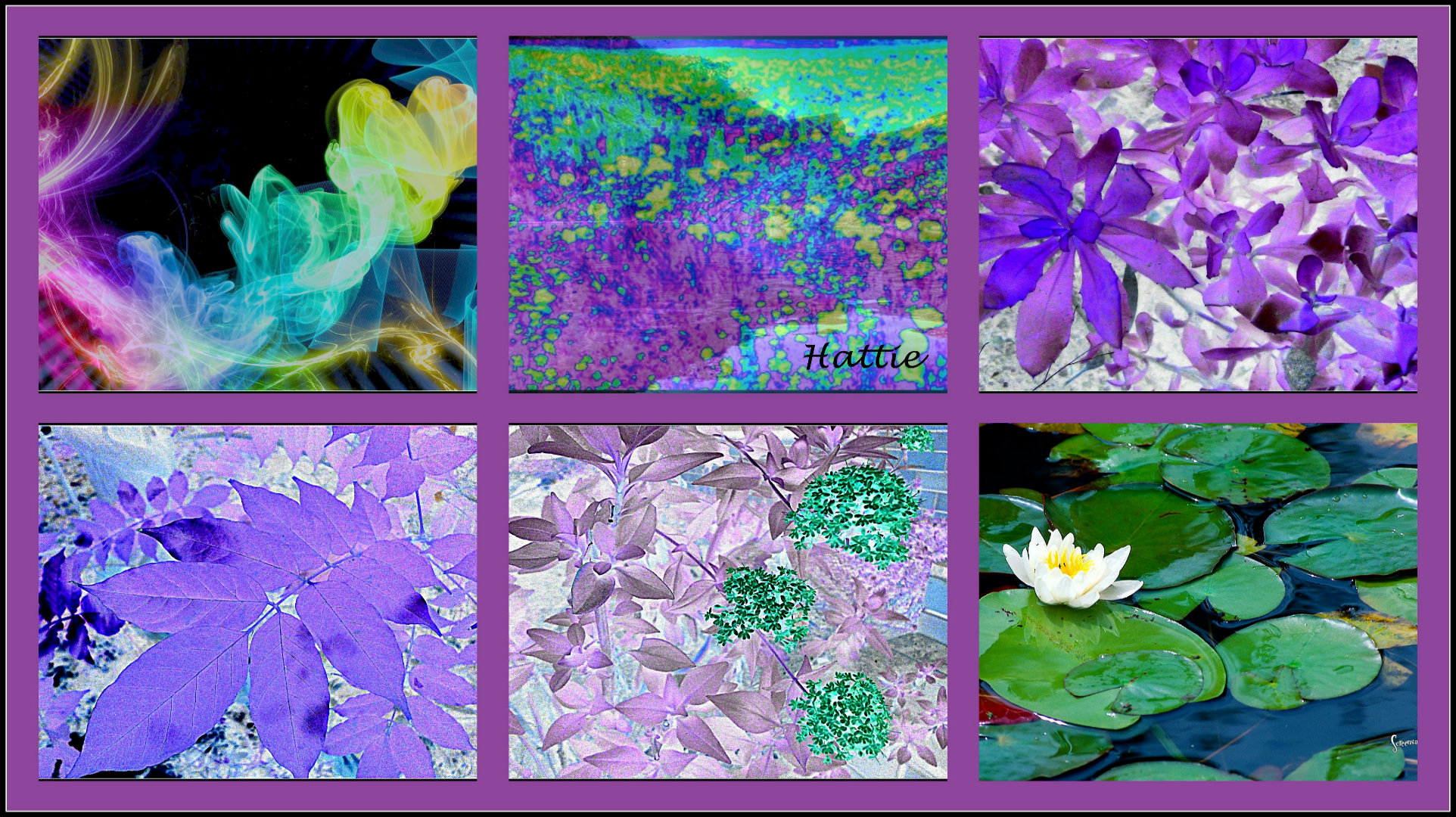 608424 скачать картинку художественные, природа, синий, коллаж, листва, лиловый, вода - обои и заставки бесплатно