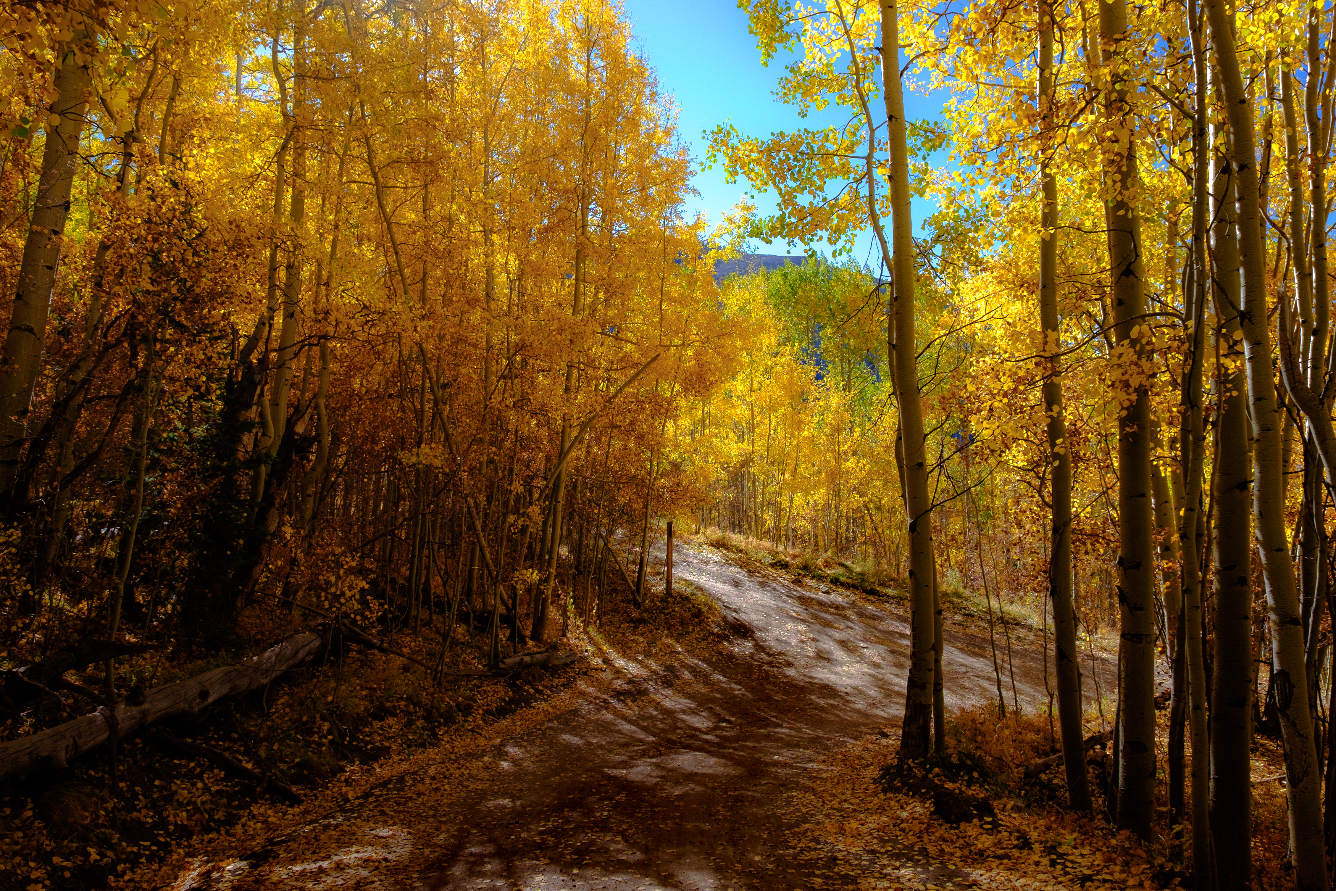 nature, landscape, mountains, autumn, forest, path, trail Desktop Wallpaper